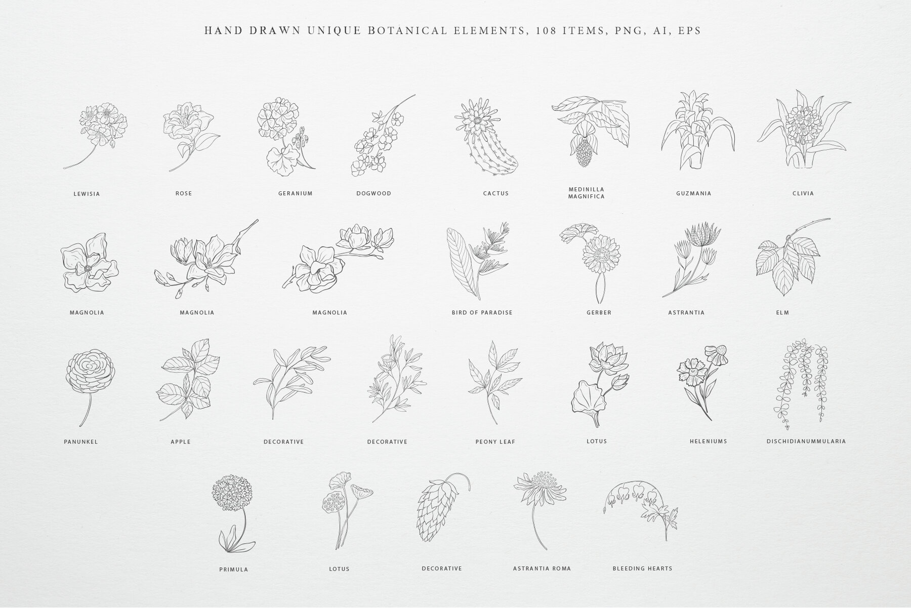 Botany and Moon Hand Drawn Line Art 4