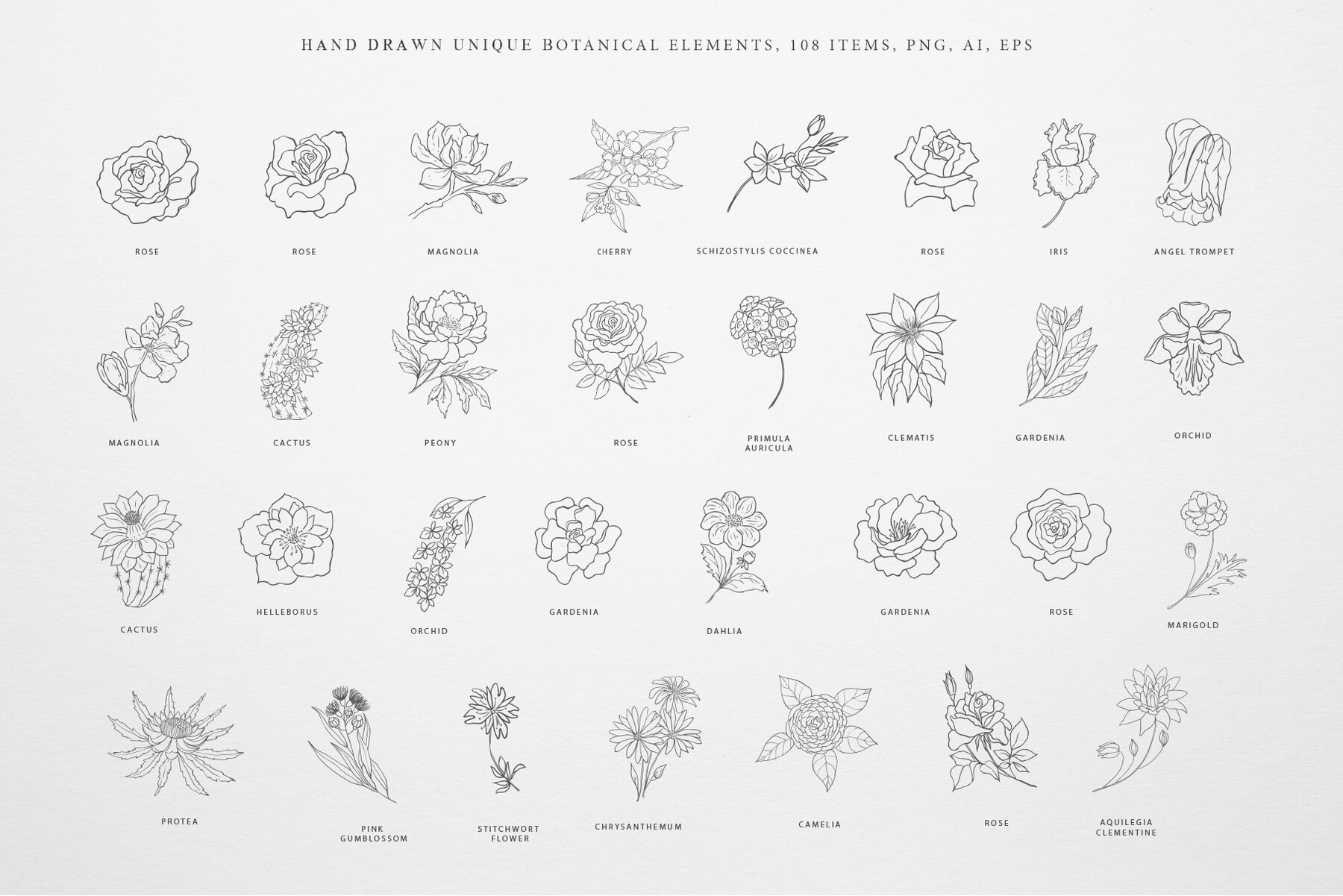 Botany and Moon Hand Drawn Line Art 5