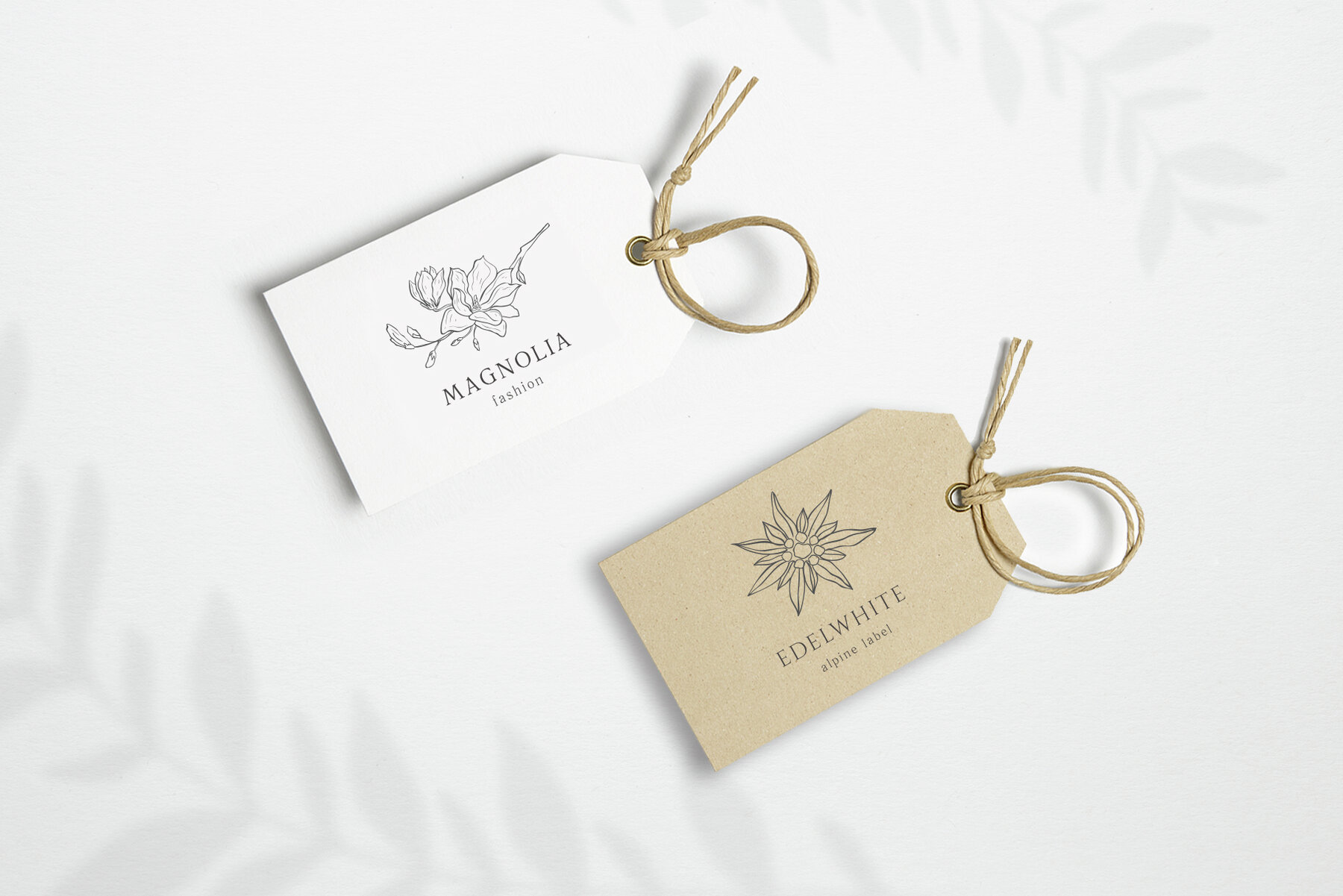 Botany and Moon Hand Drawn Line Art 15