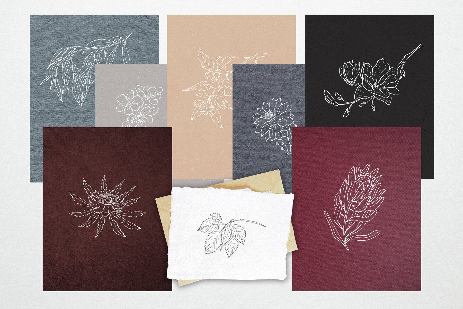 Botany and Moon Hand Drawn Line Art 17