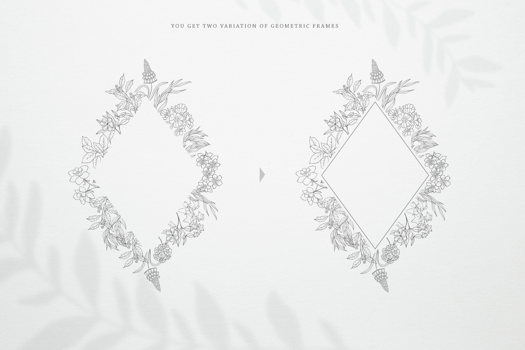 Botany and Moon Hand Drawn Line Art 18