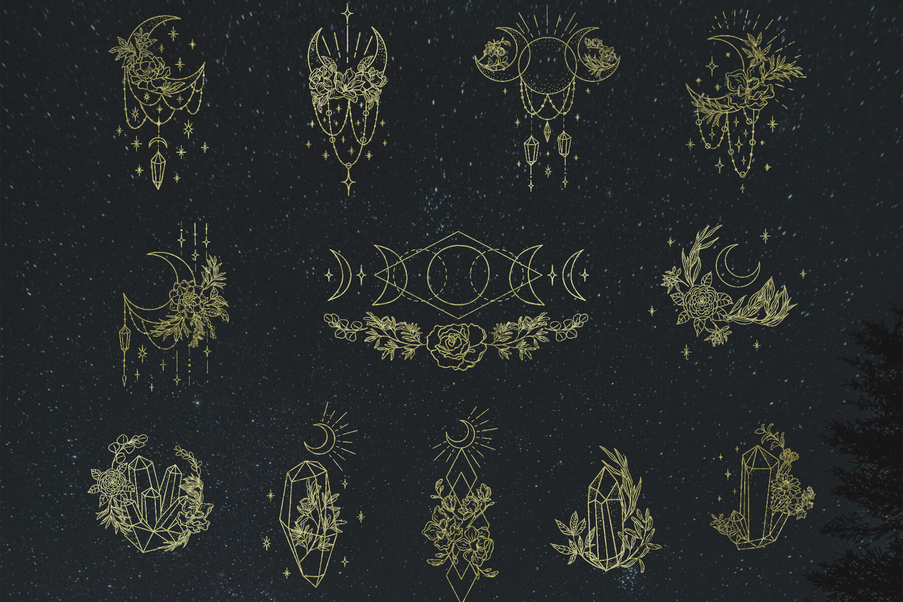 Botany and Moon Hand Drawn Line Art 19