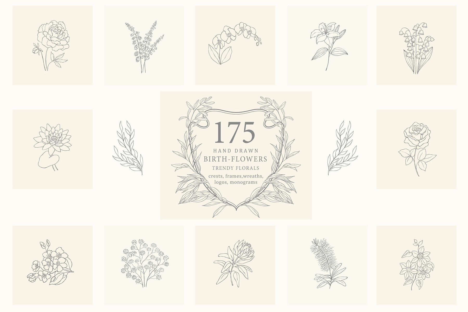 Birth Flowers Trendy Plants Logos Vector Illustrations 1