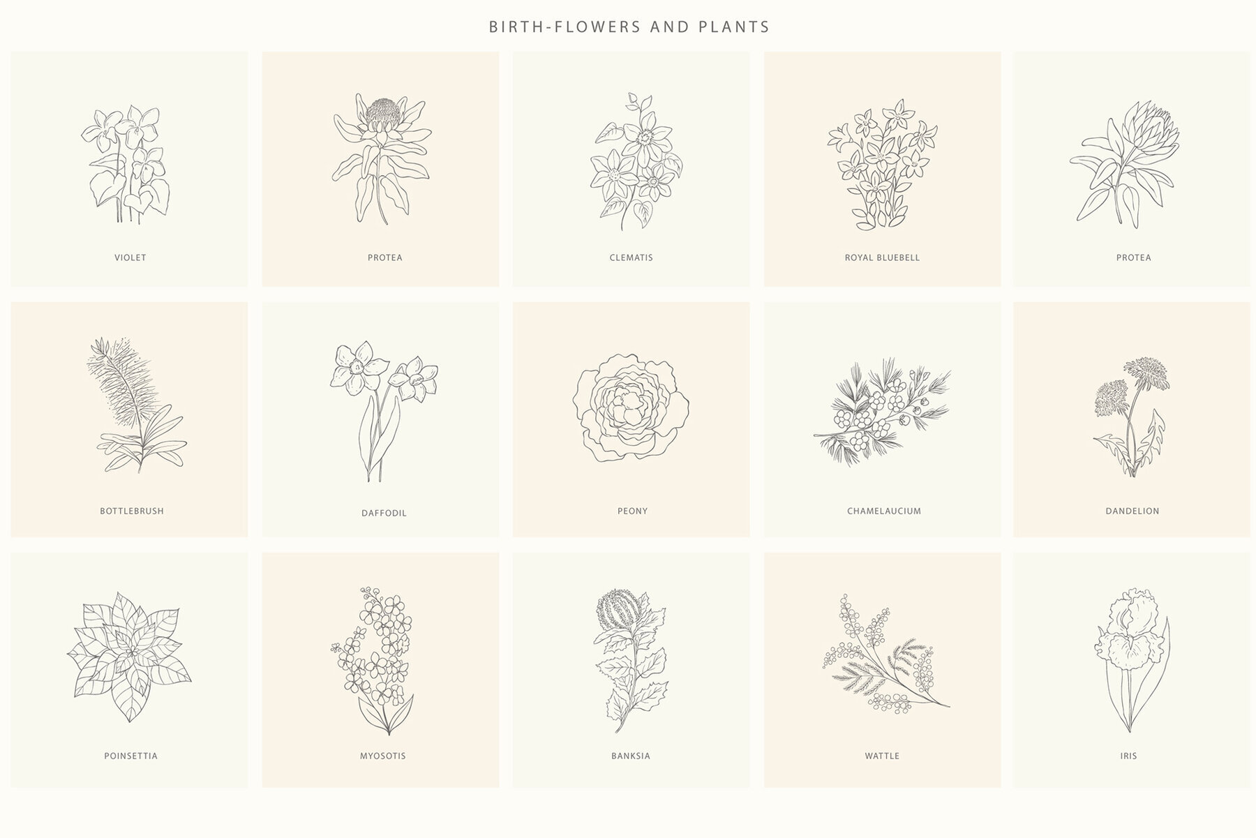 Birth Flowers Trendy Plants Logos Vector Illustrations 2