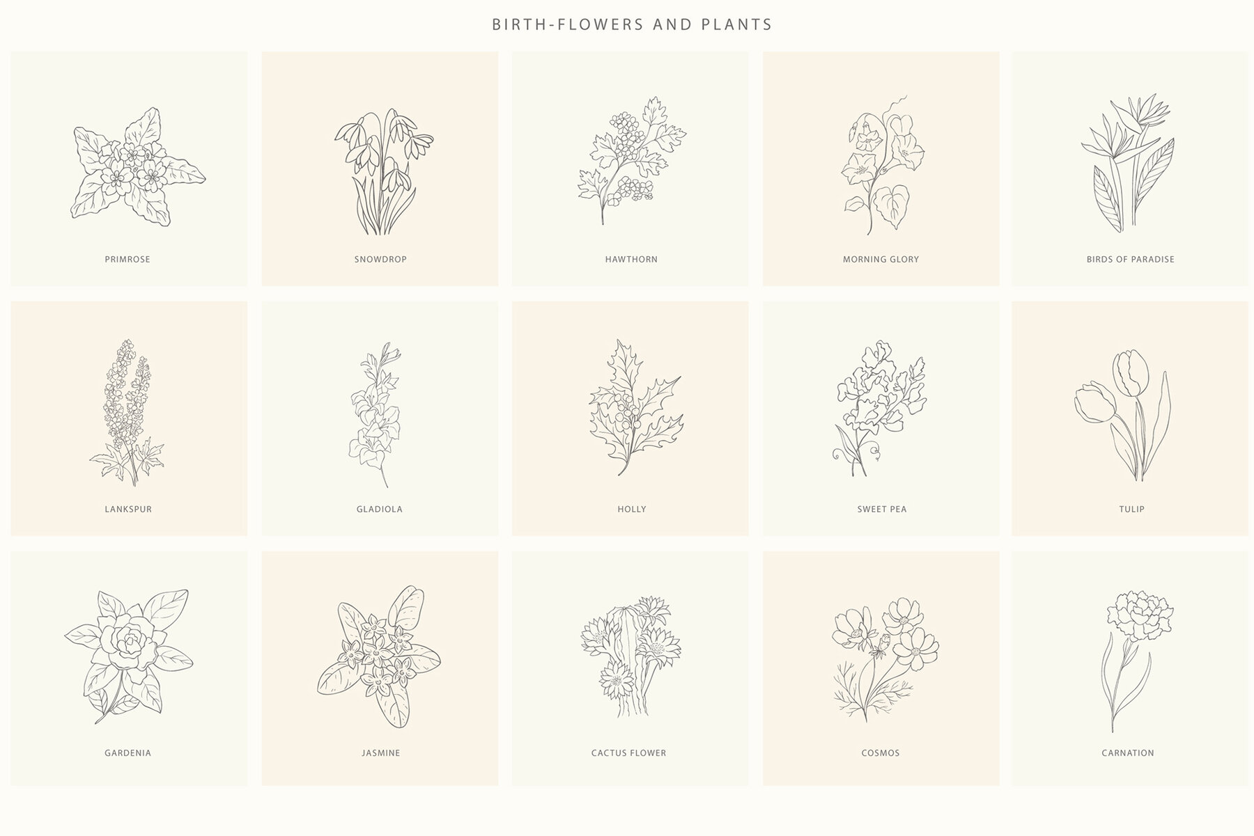 Birth Flowers Trendy Plants Logos Vector Illustrations 5