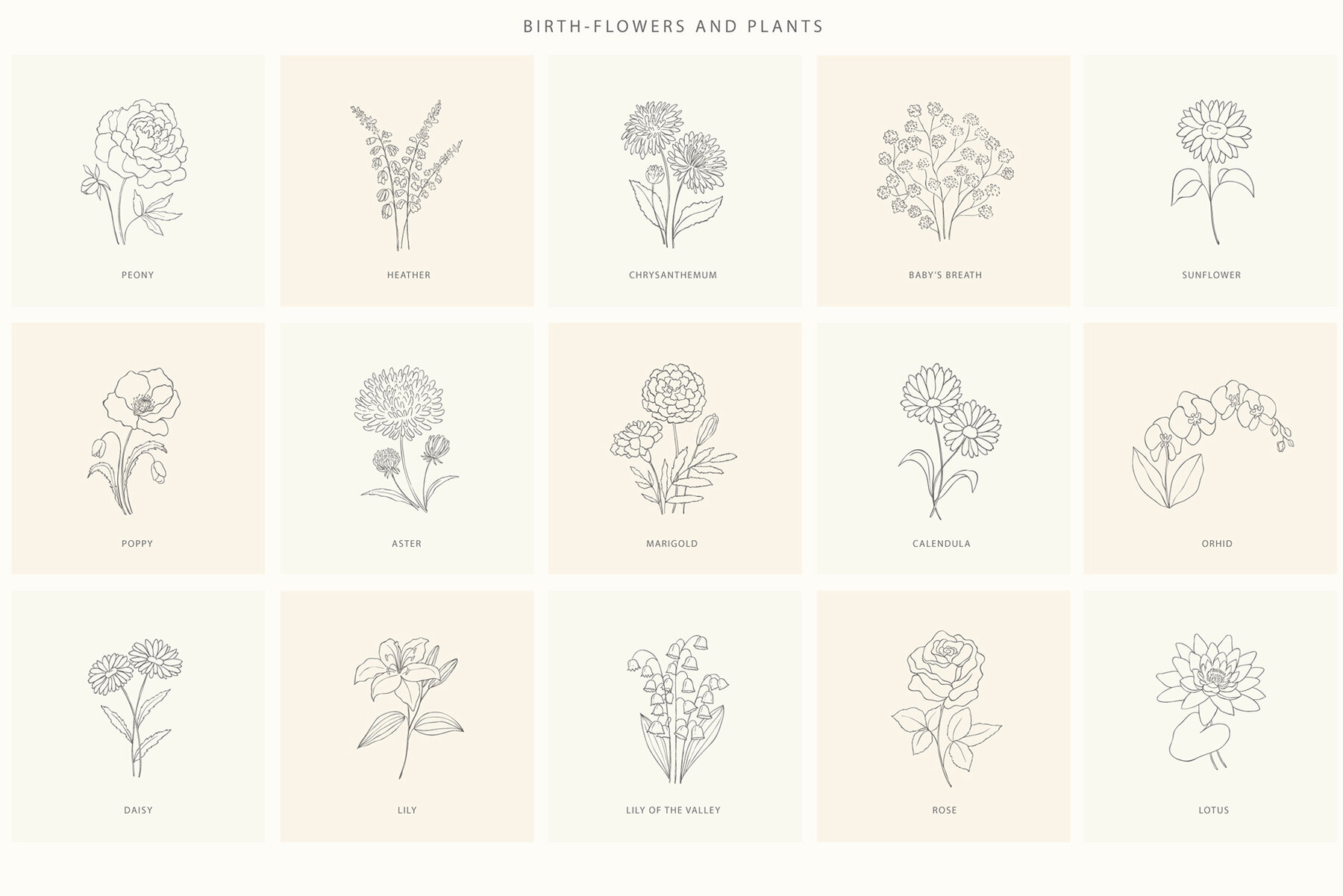 Birth Flowers Trendy Plants Logos Vector Illustrations 8