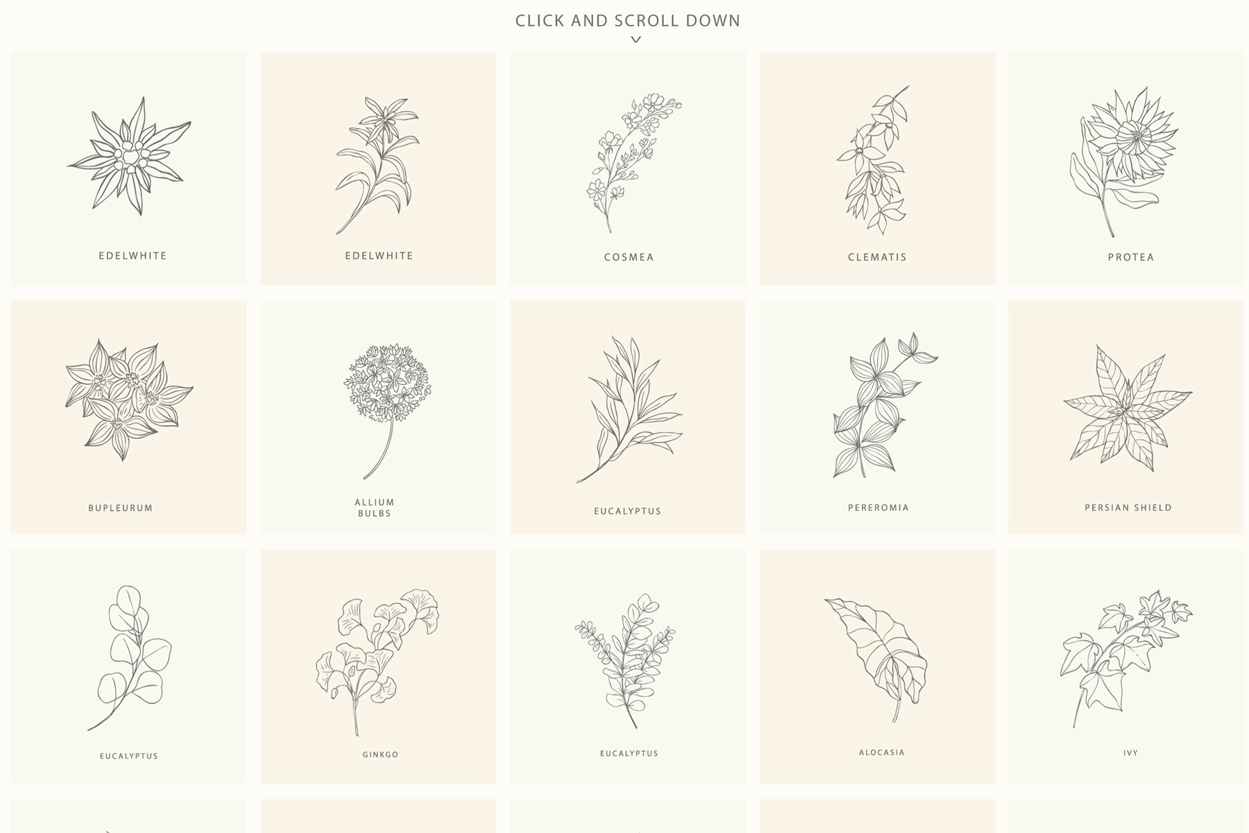 Birth Flowers Trendy Plants Logos Vector Illustrations 10