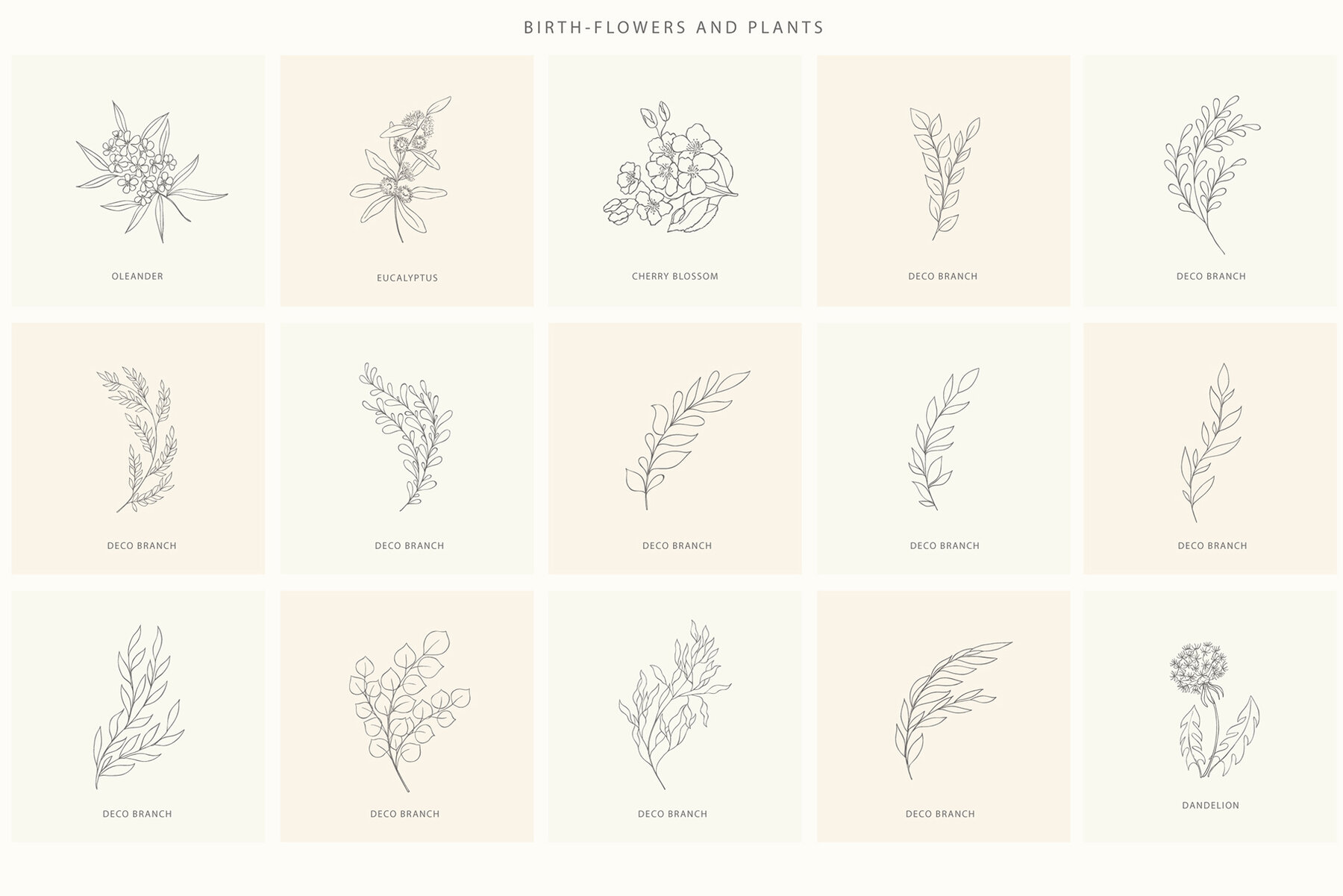 Birth Flowers Trendy Plants Logos Vector Illustrations 11