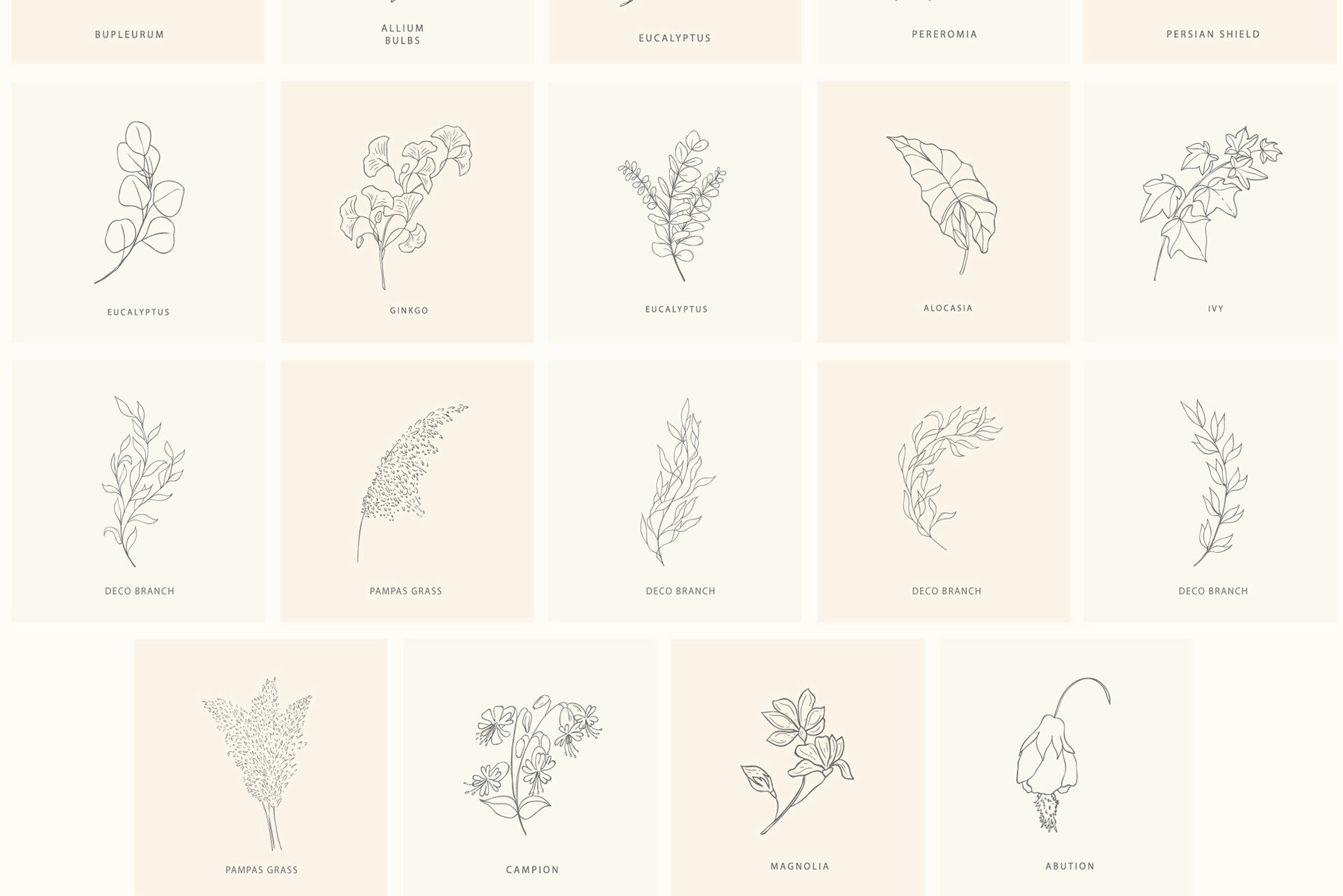 Birth Flowers Trendy Plants Logos Vector Illustrations 12