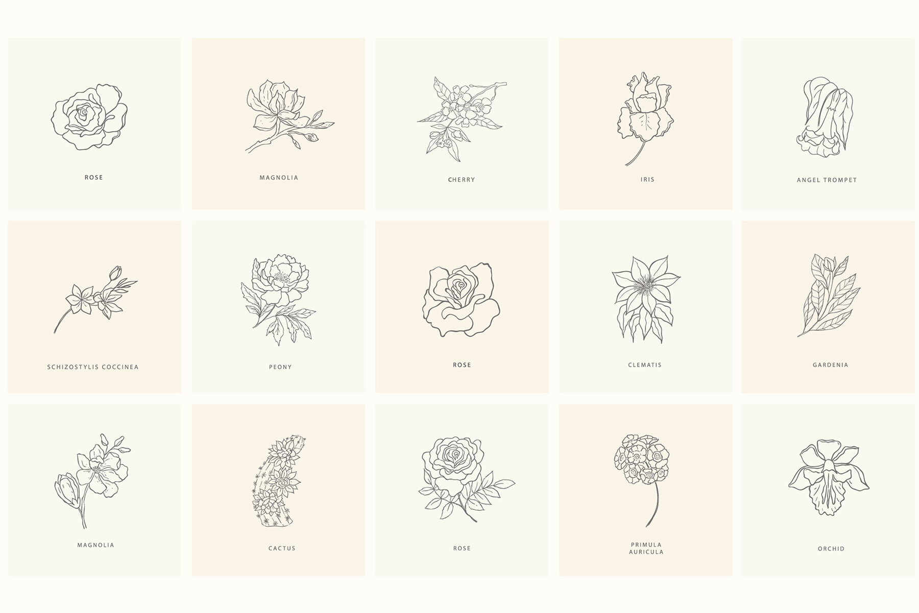 Birth Flowers Trendy Plants Logos Vector Illustrations 15
