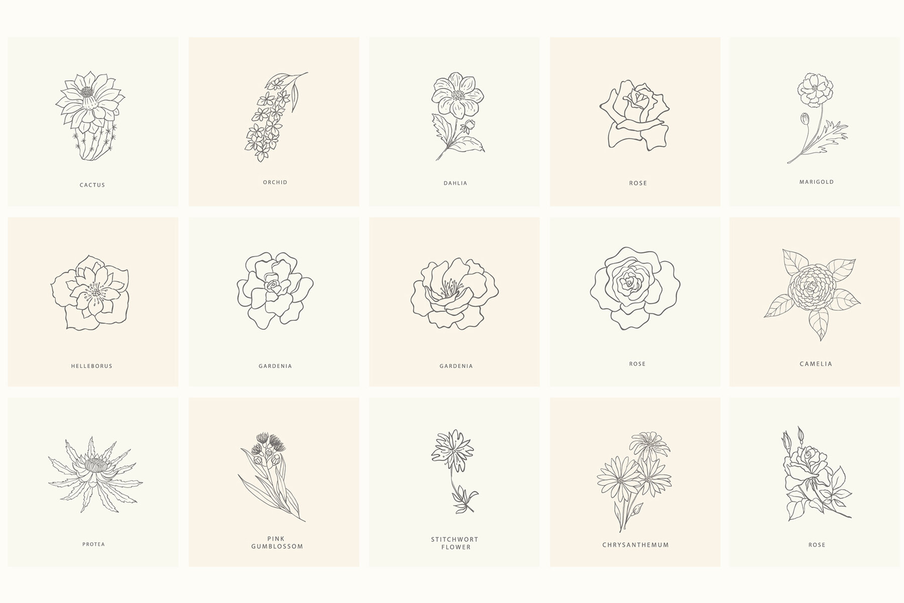 Birth Flowers Trendy Plants Logos Vector Illustrations 17