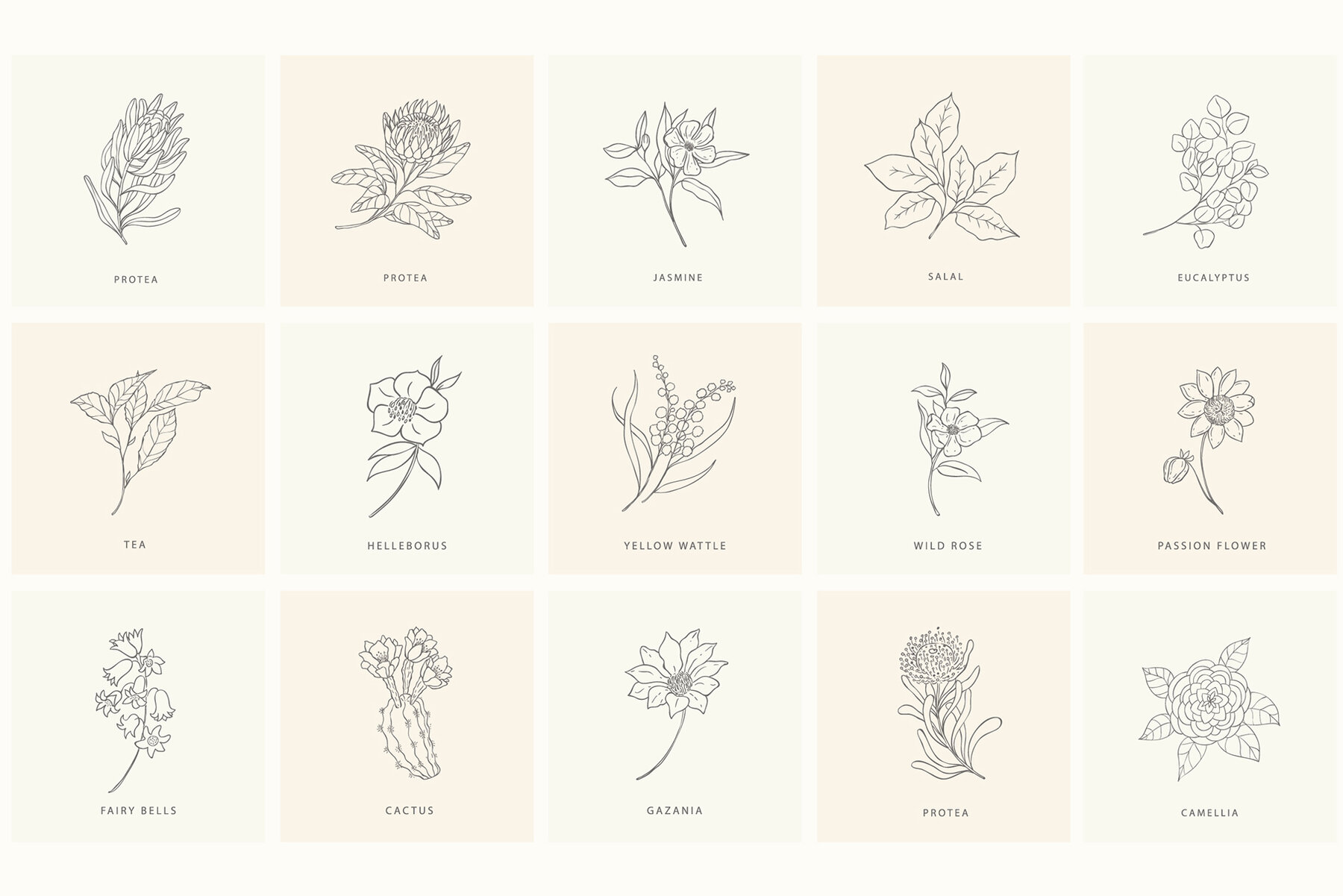 Birth Flowers Trendy Plants Logos Vector Illustrations 19