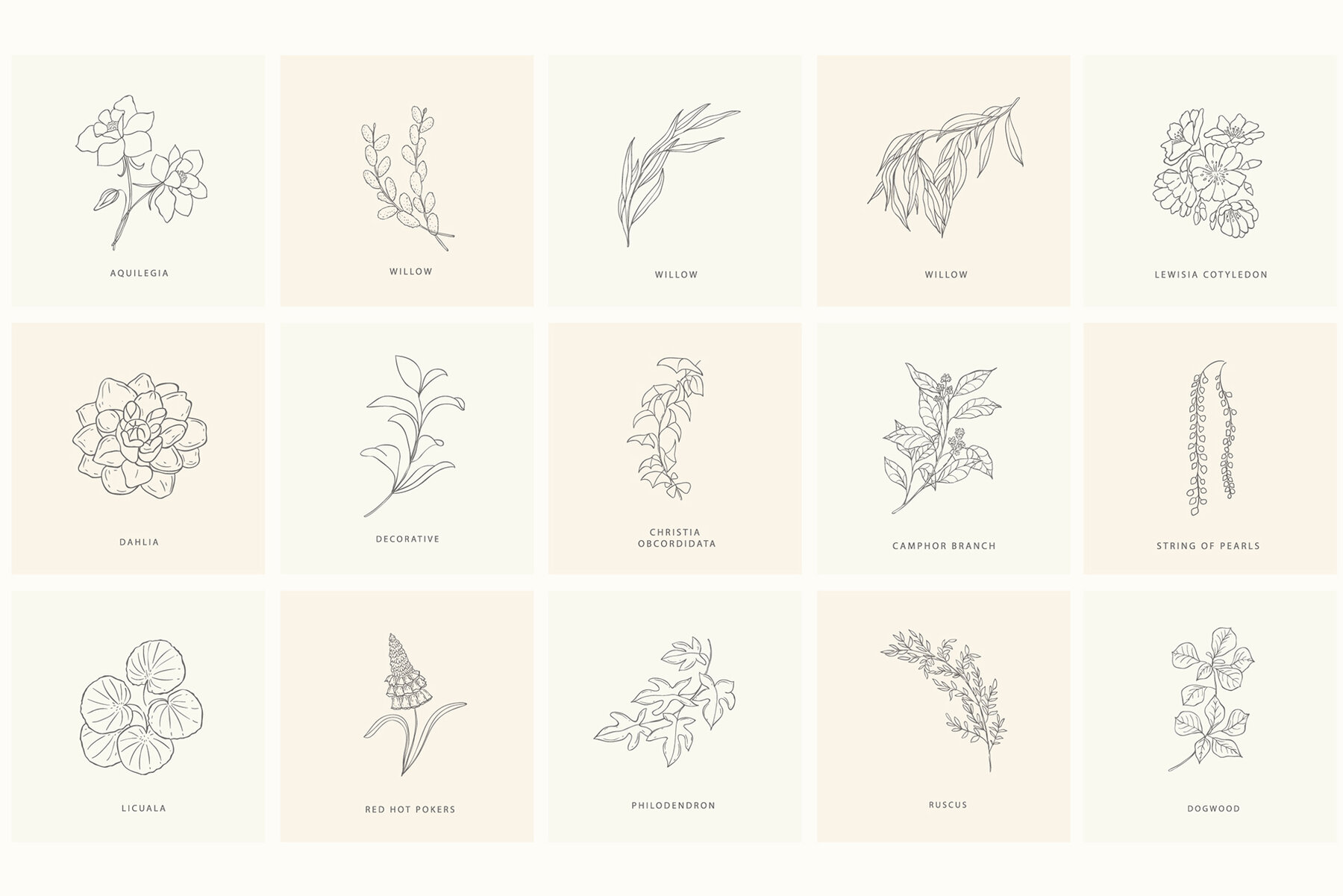 Birth Flowers Trendy Plants Logos Vector Illustrations 21