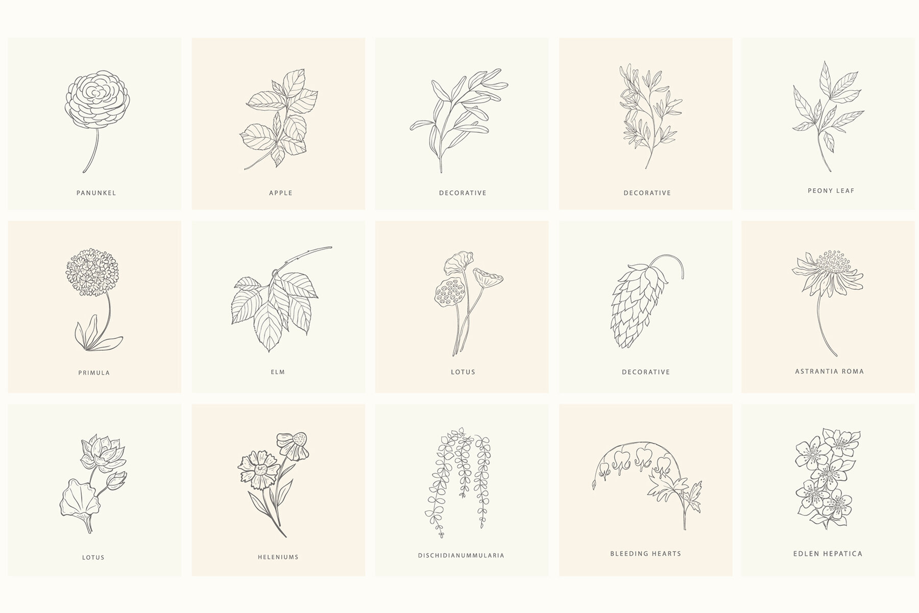 Birth Flowers Trendy Plants Logos Vector Illustrations 23