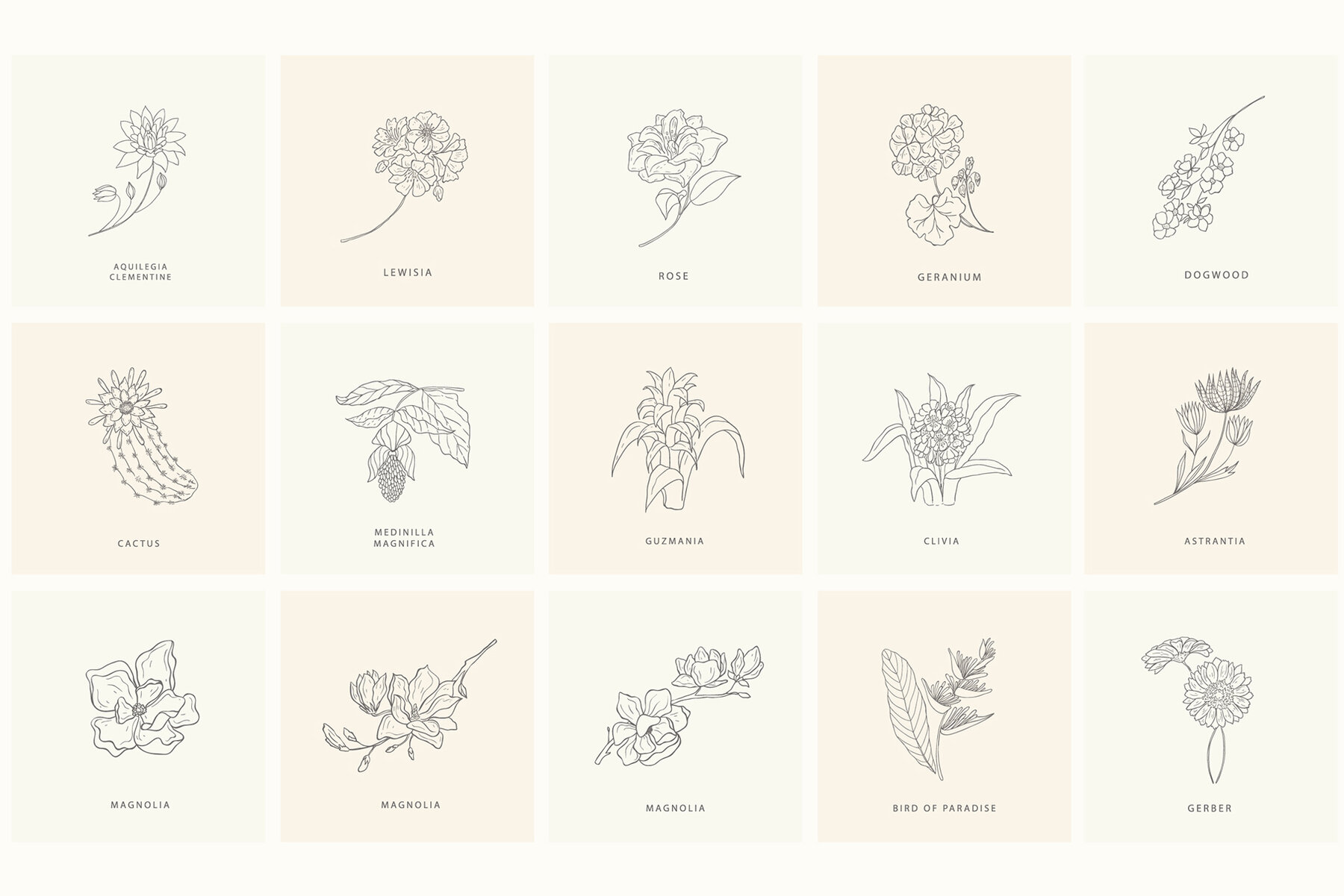 Birth Flowers Trendy Plants Logos Vector Illustrations 24