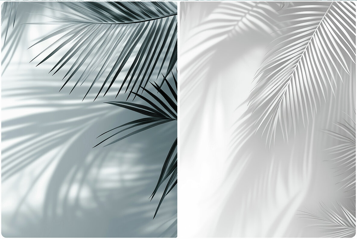 20 Palm Branches Shadows Backgrounds 4