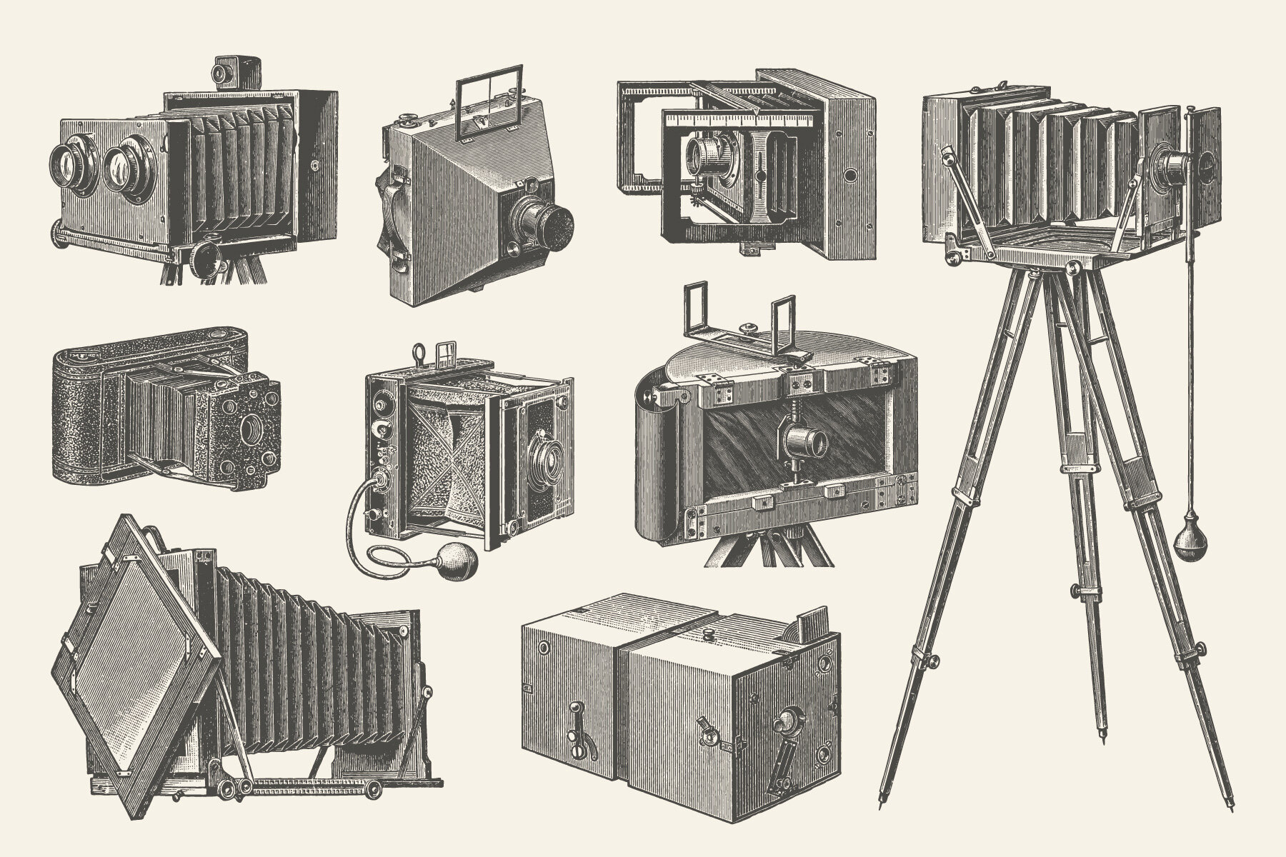 Photography   Vintage Illustration Set 5