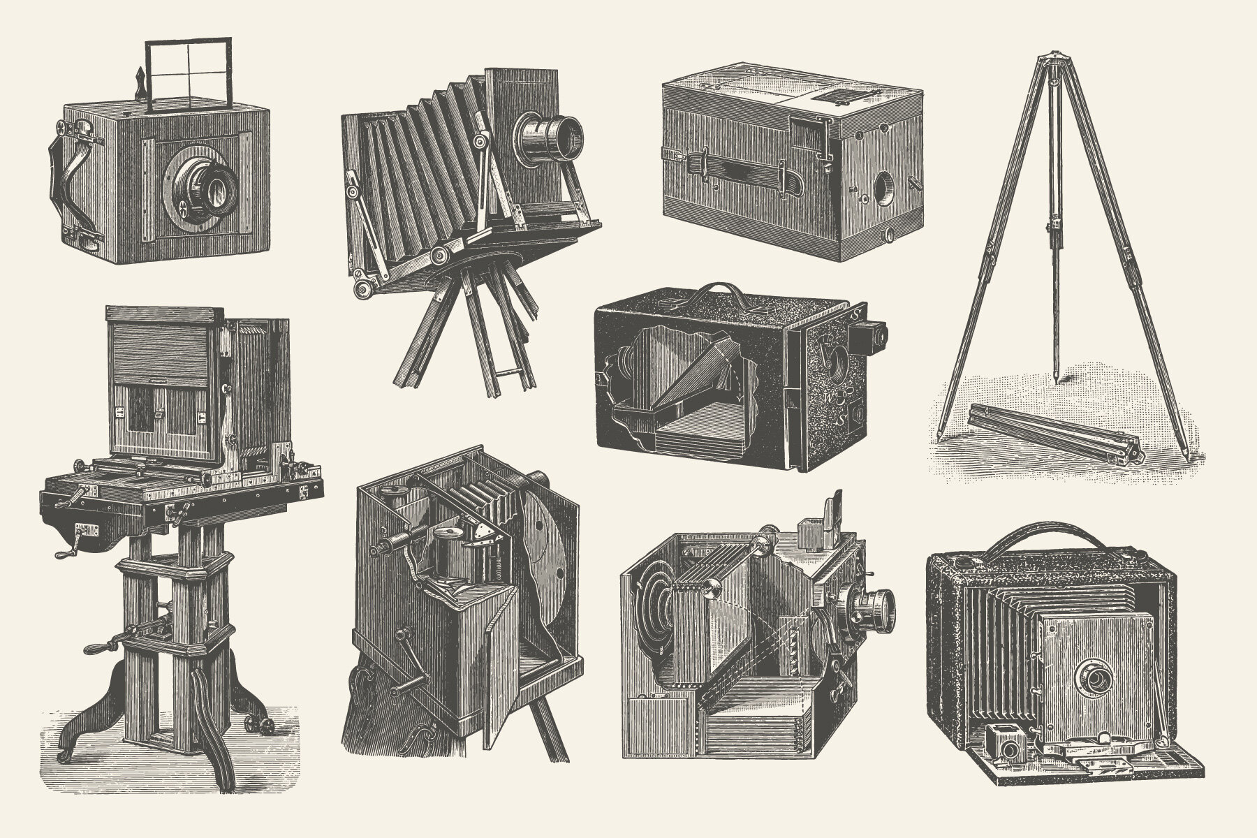 Photography   Vintage Illustration Set 8