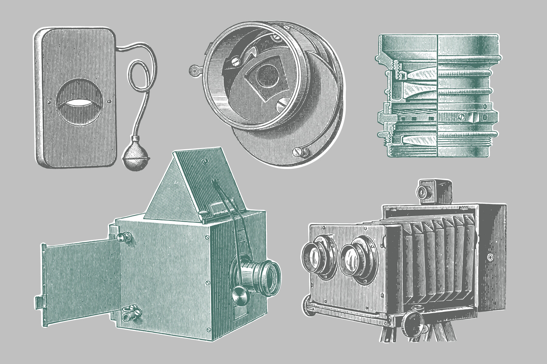 Photography   Vintage Illustration Set 9
