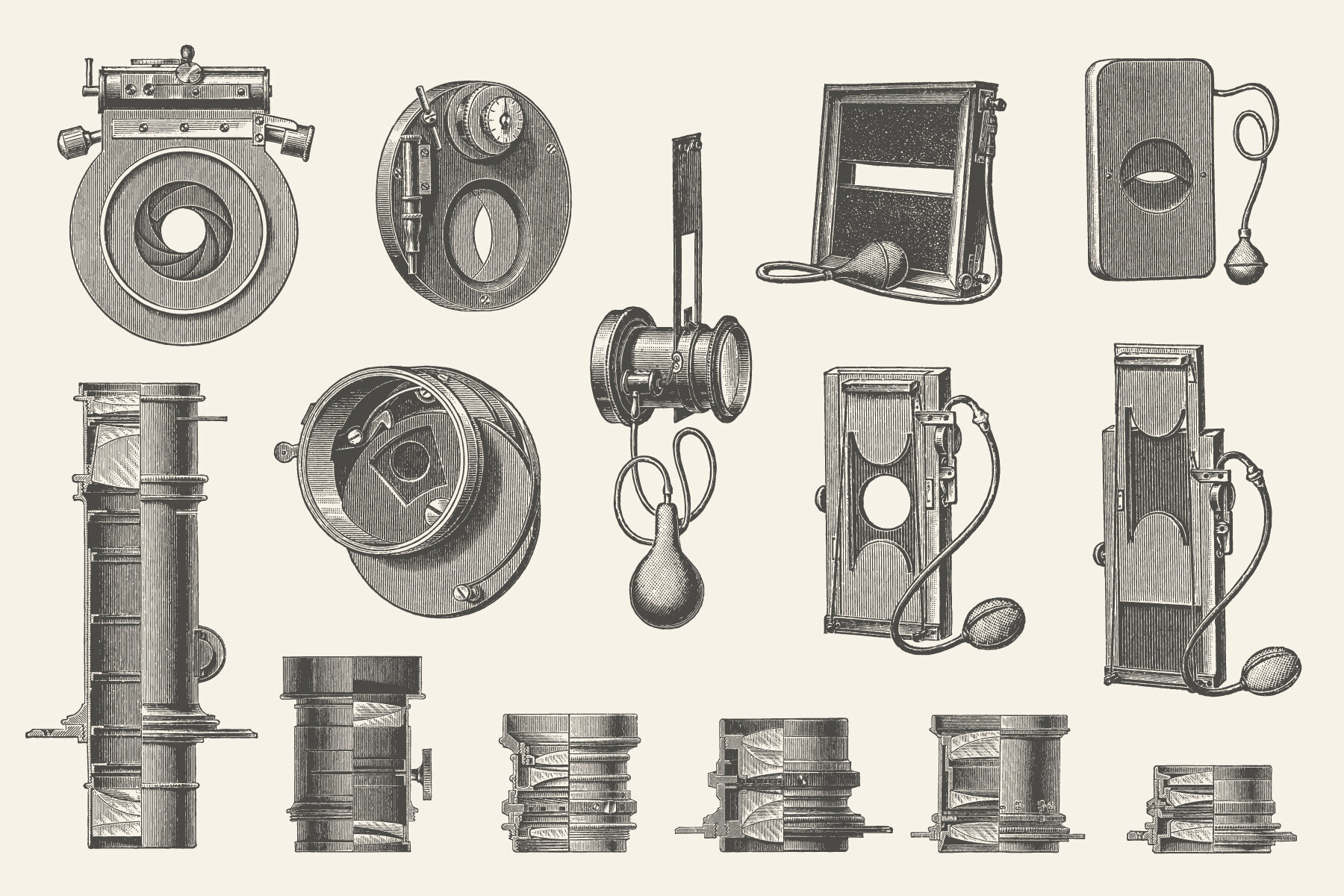 Photography   Vintage Illustration Set 11