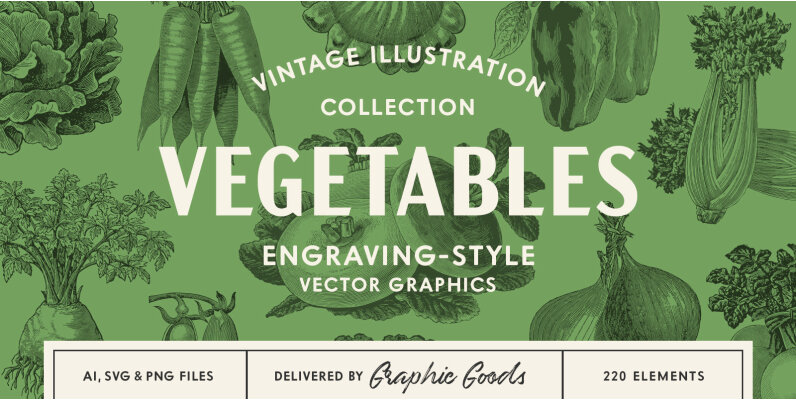 220 Vintage Vegetable Illustrations