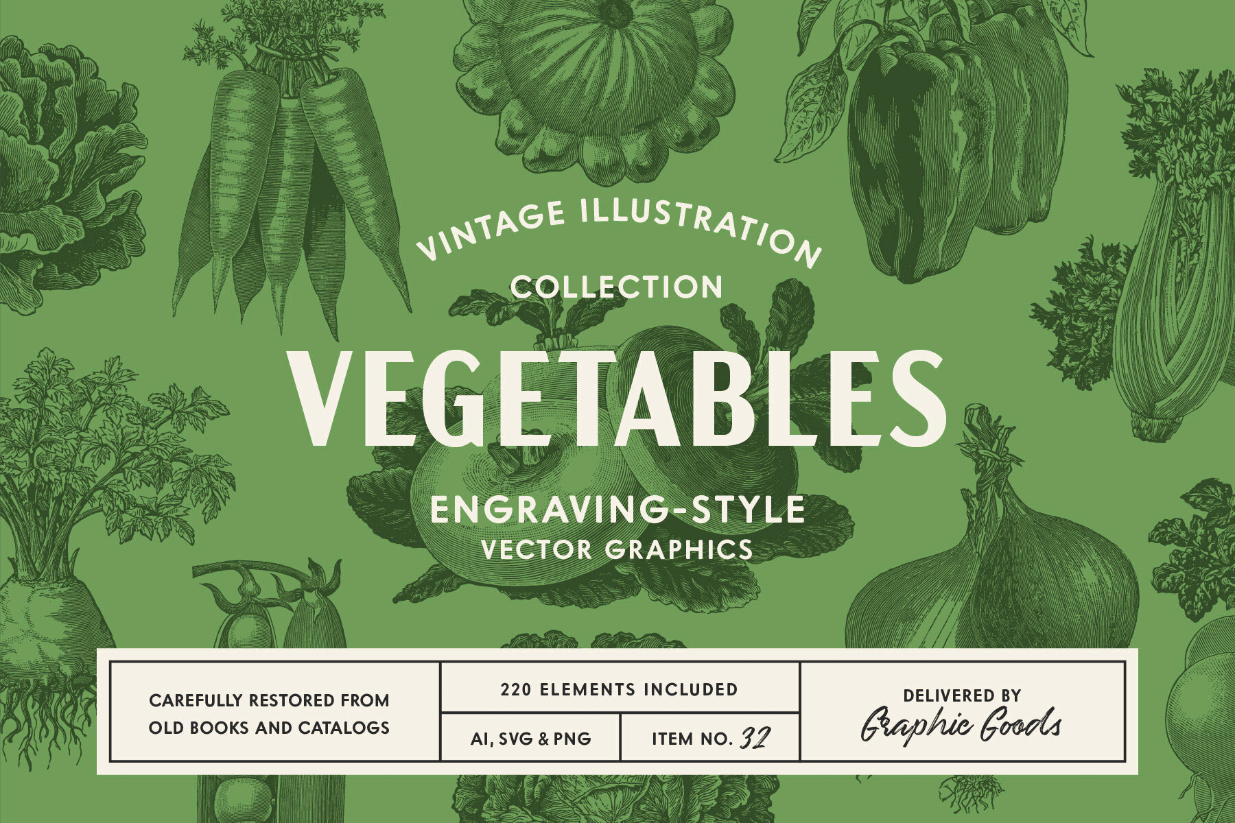 220 Vintage Vegetable Illustrations 1