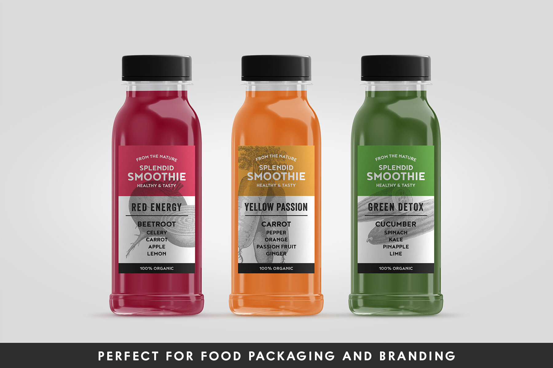 220 Vintage Vegetable Illustrations 10