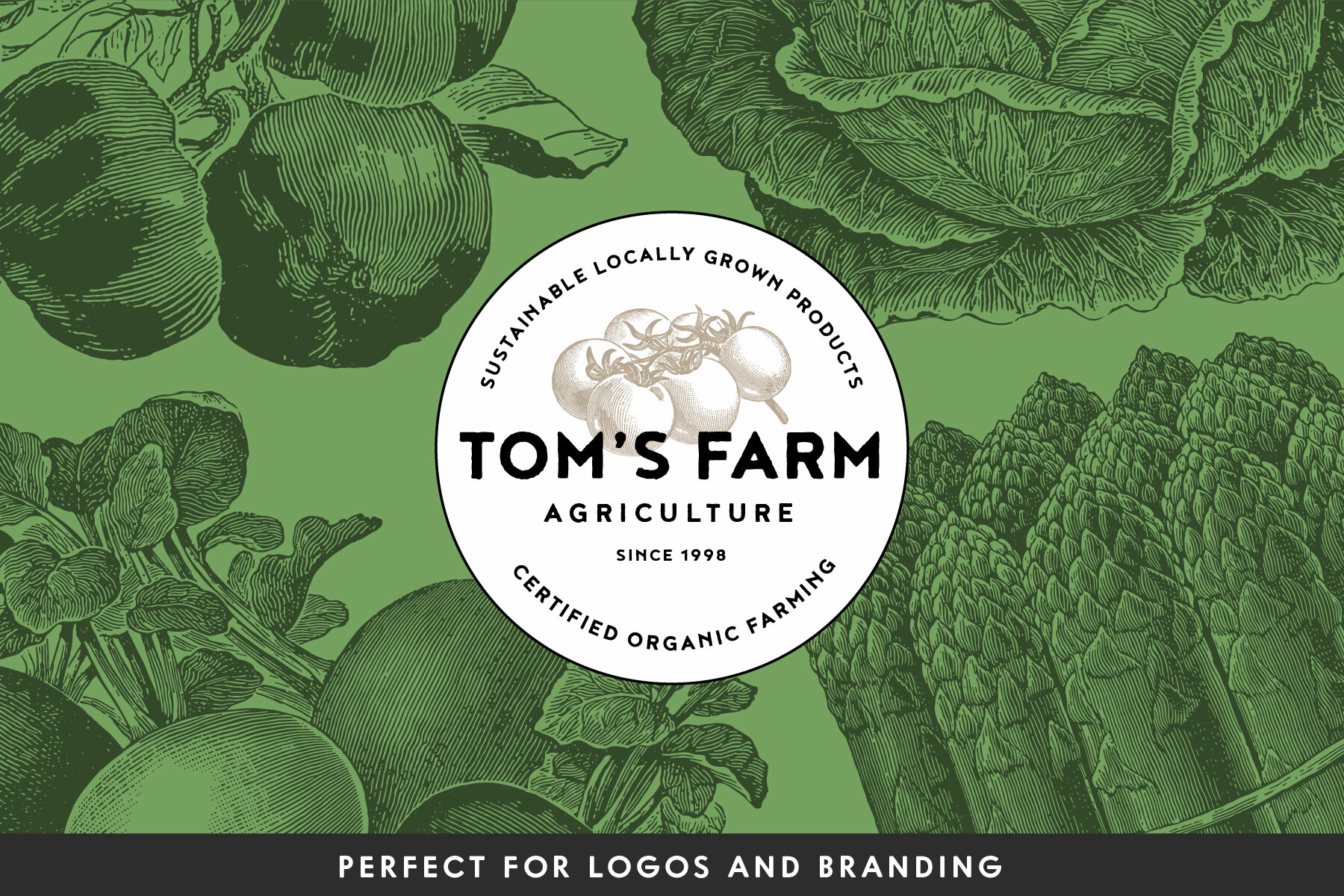 220 Vintage Vegetable Illustrations 11