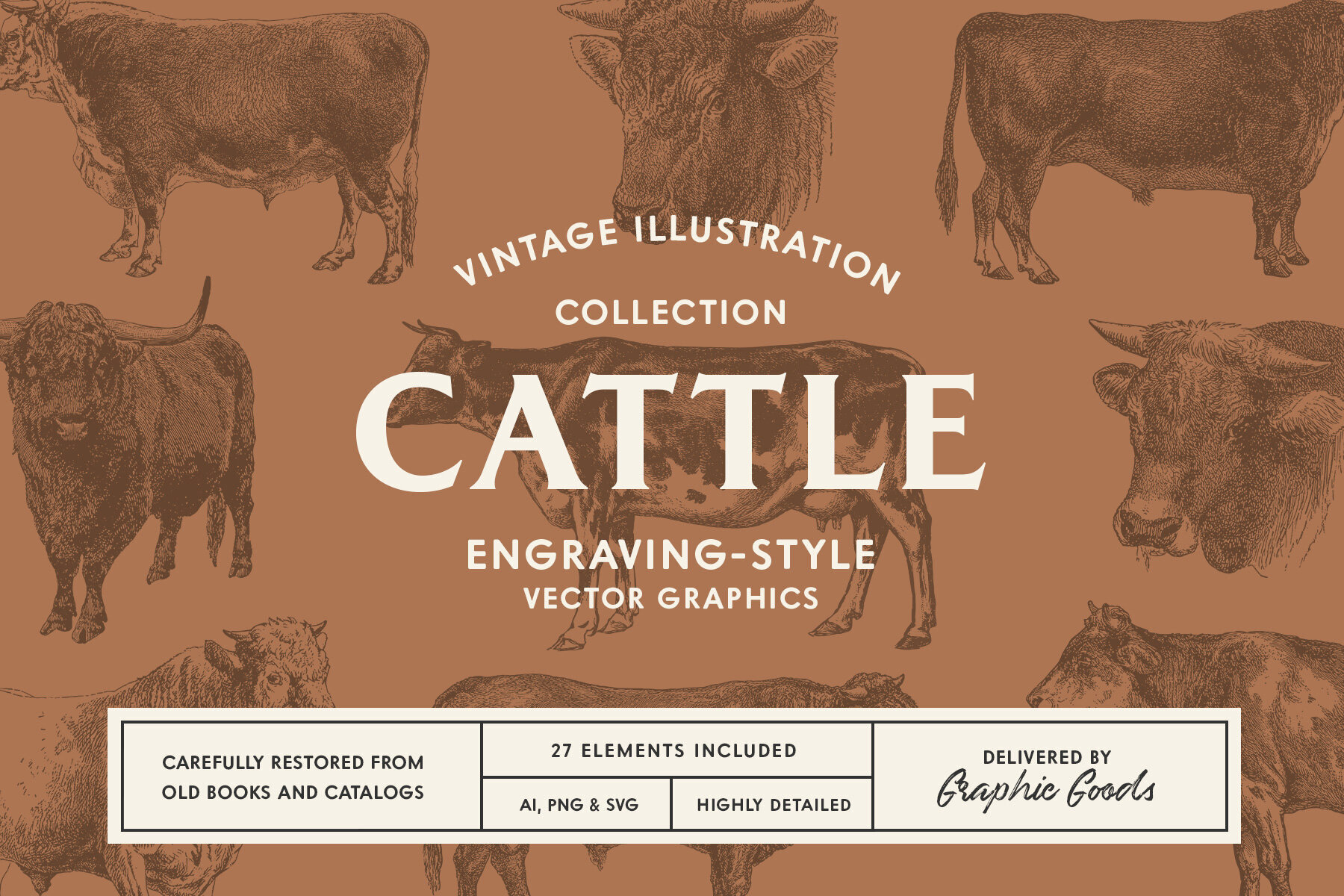 Cattle Vintage Illustration Set 1