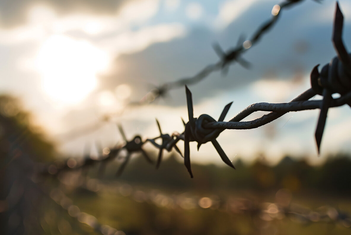 Barbed wire 14