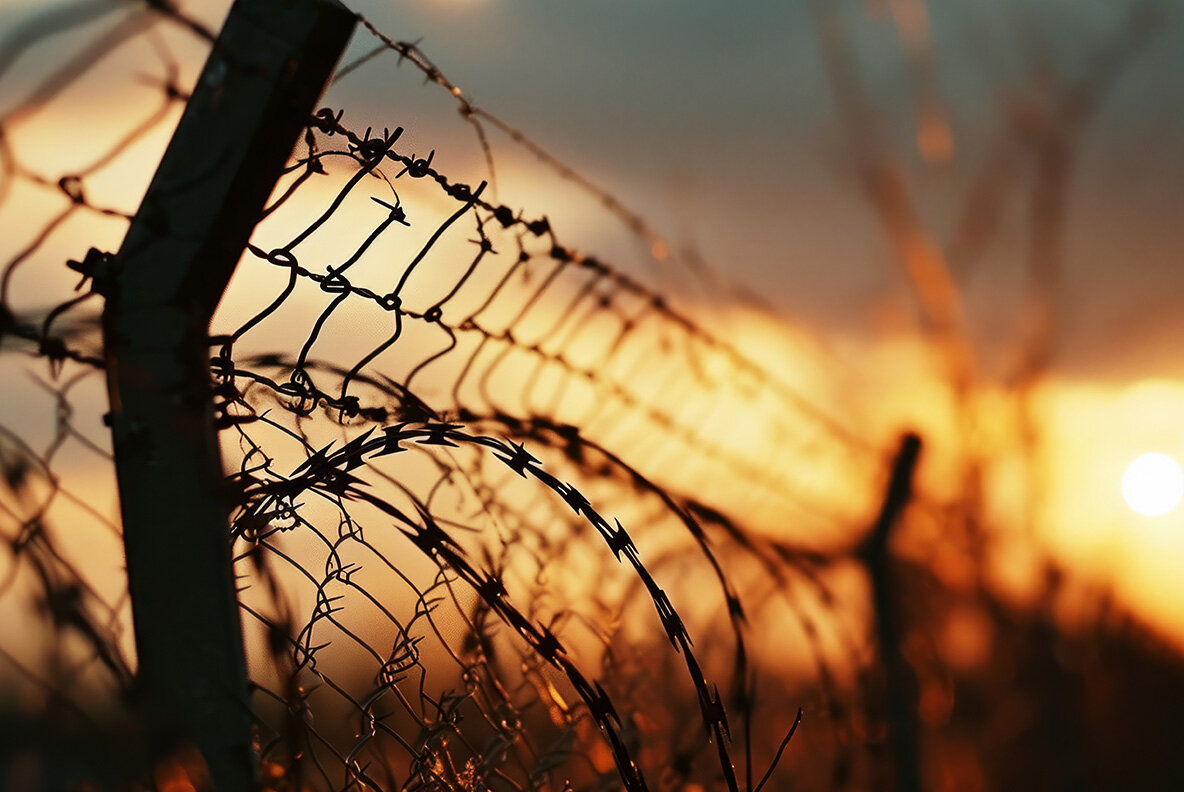 Barbed wire 15