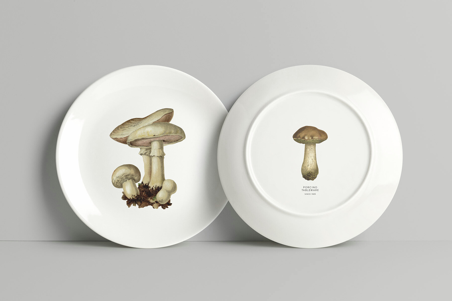 Fungi Vintage Mushroom Illustrations 2
