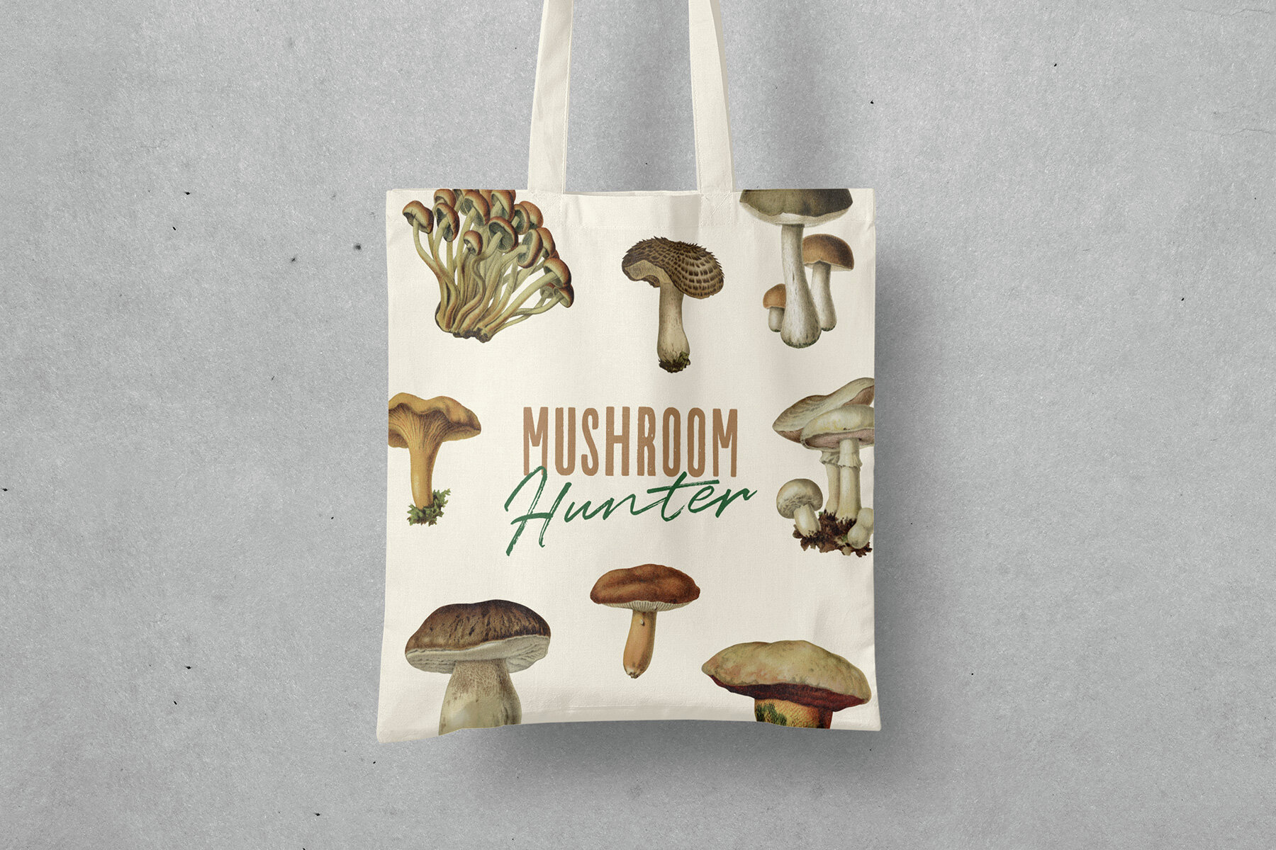 Fungi Vintage Mushroom Illustrations 6