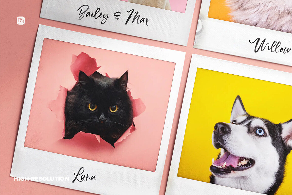 Diagonal Layout 4 Instant Photos 3