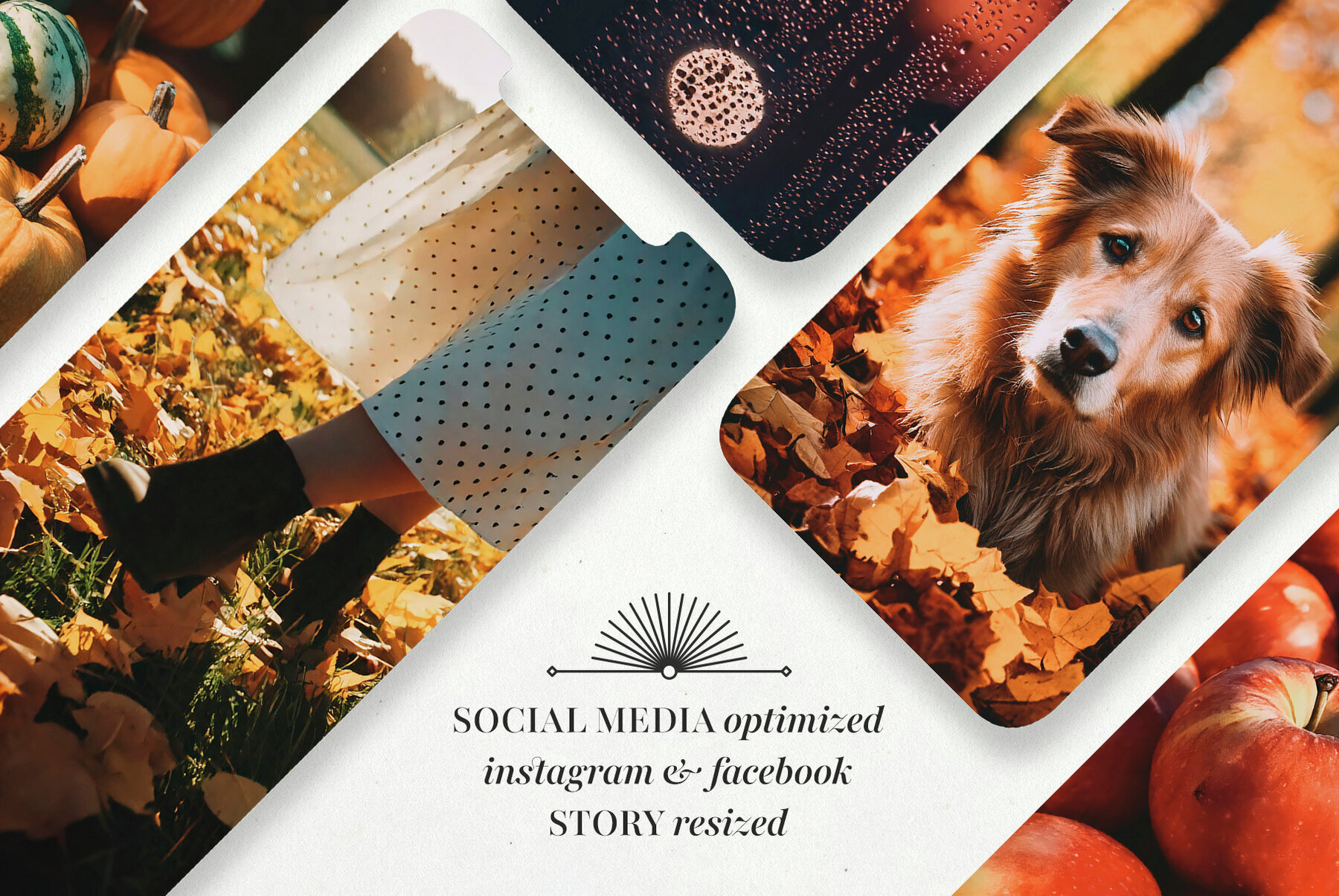 Cozy Autumn Collection 2