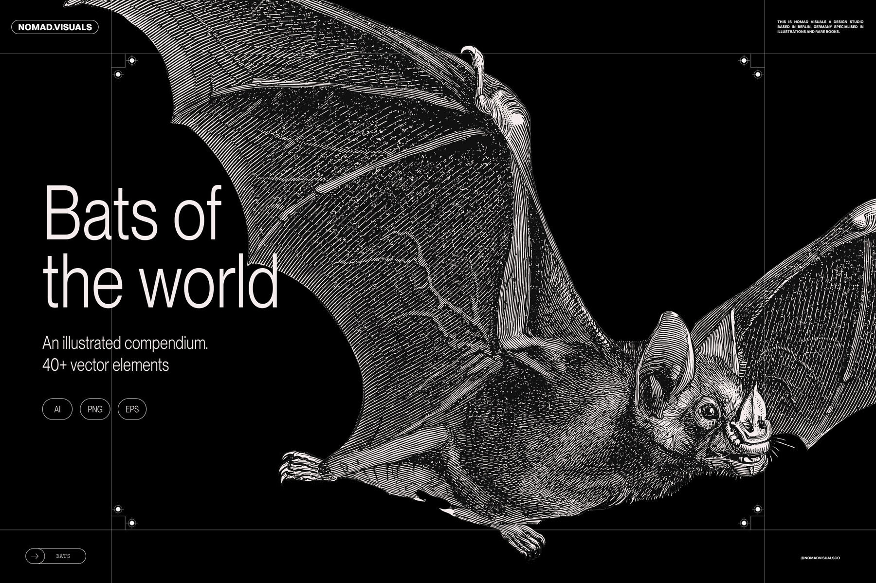 Bats of the World 1