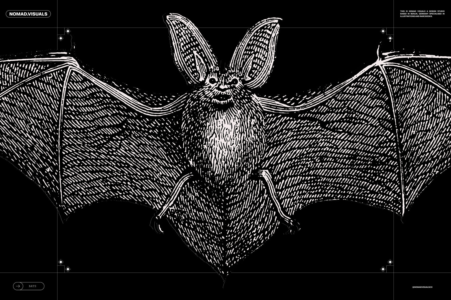 Bats of the World 9