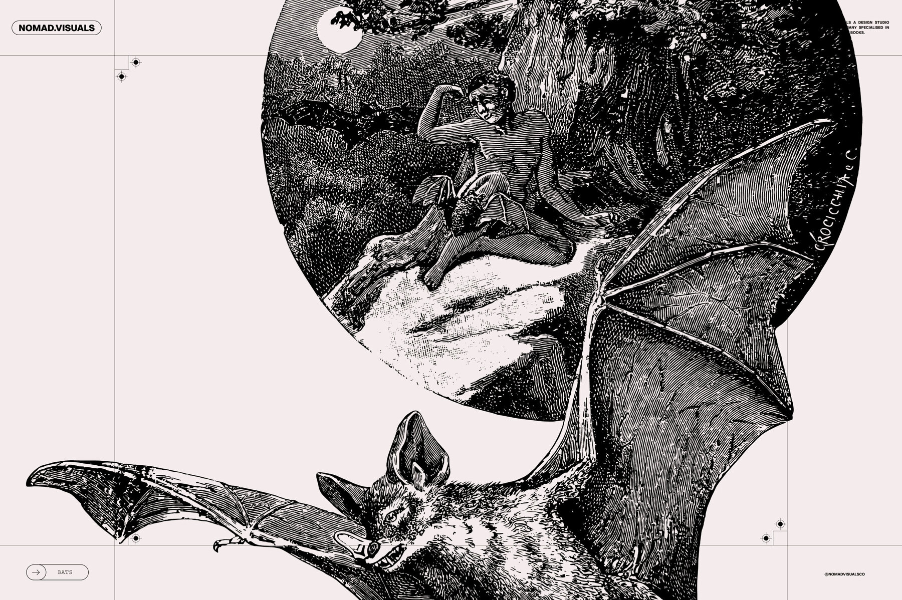 Bats of the World 10