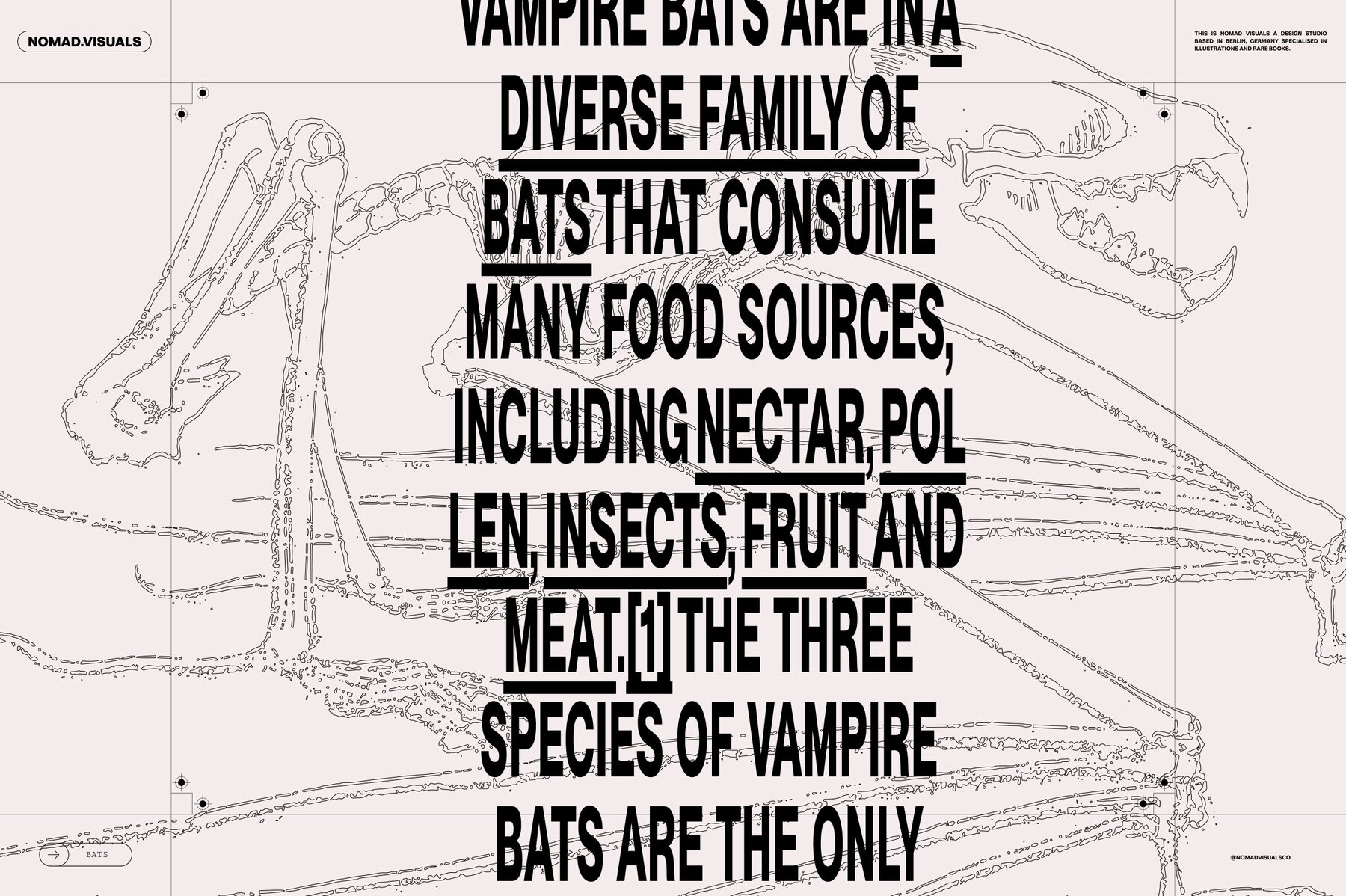 Bats of the World 14