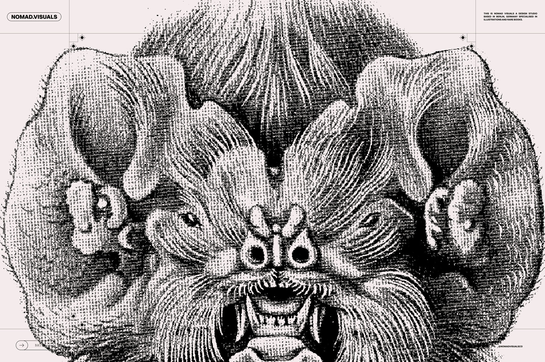 Bats of the World 17