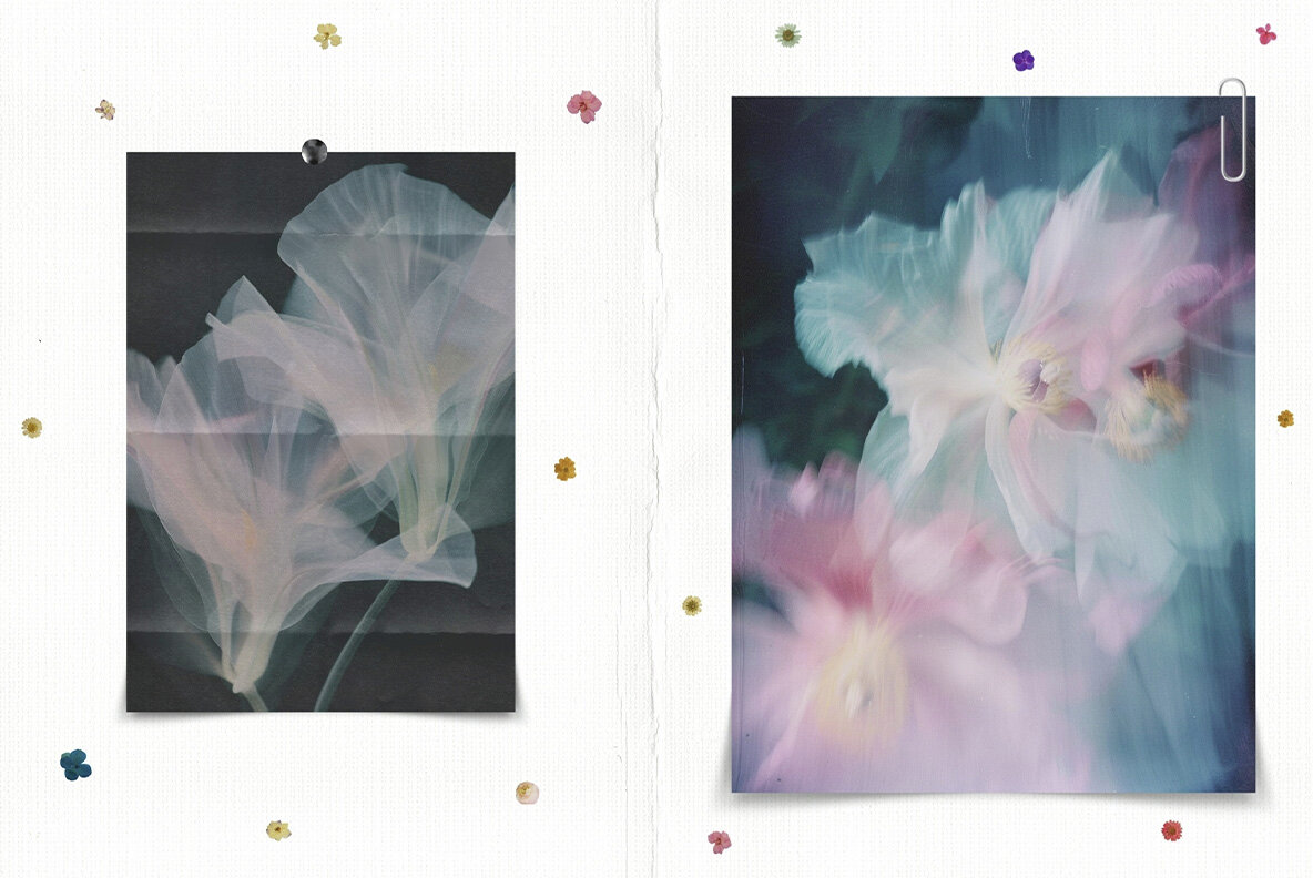 Blurred Blossom Backgrounds 6