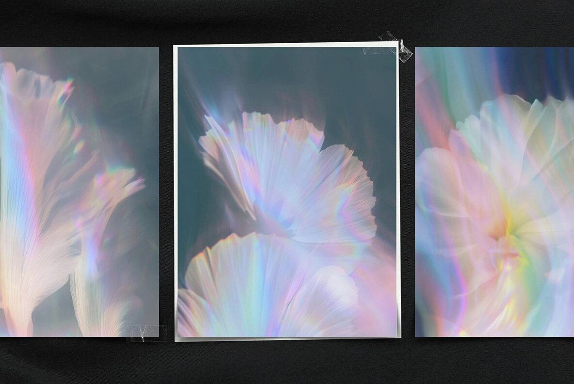 Blurred Blossom Backgrounds 10