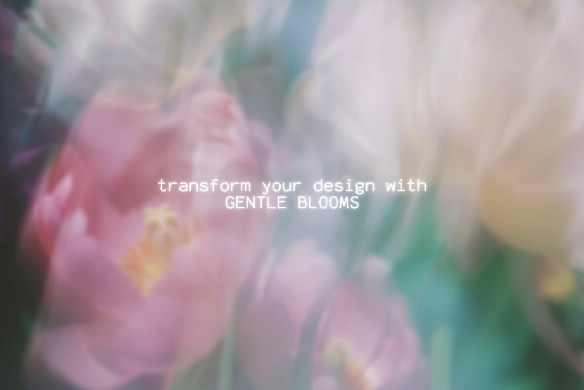 Blurred Blossom Backgrounds 13