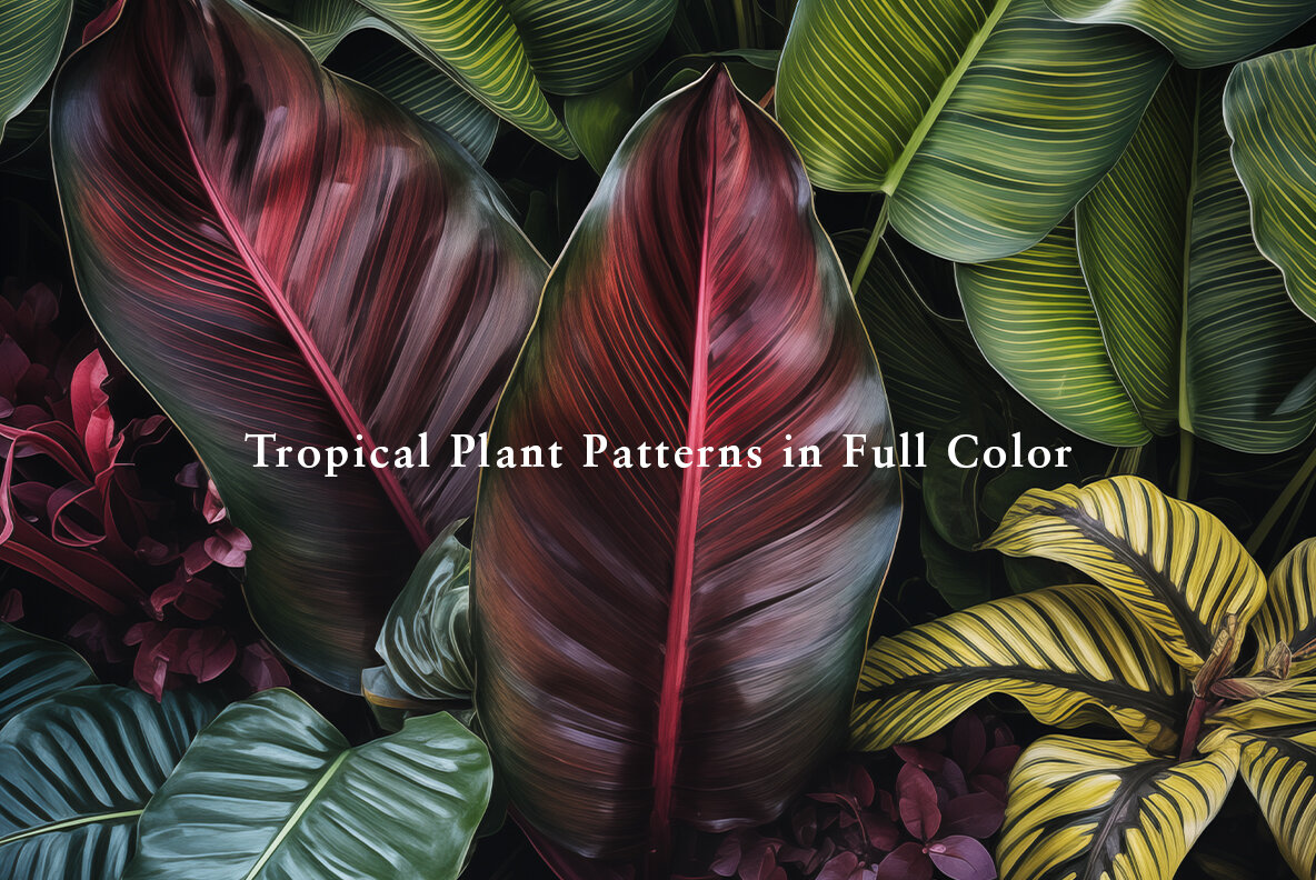 Tropical Foliage 6