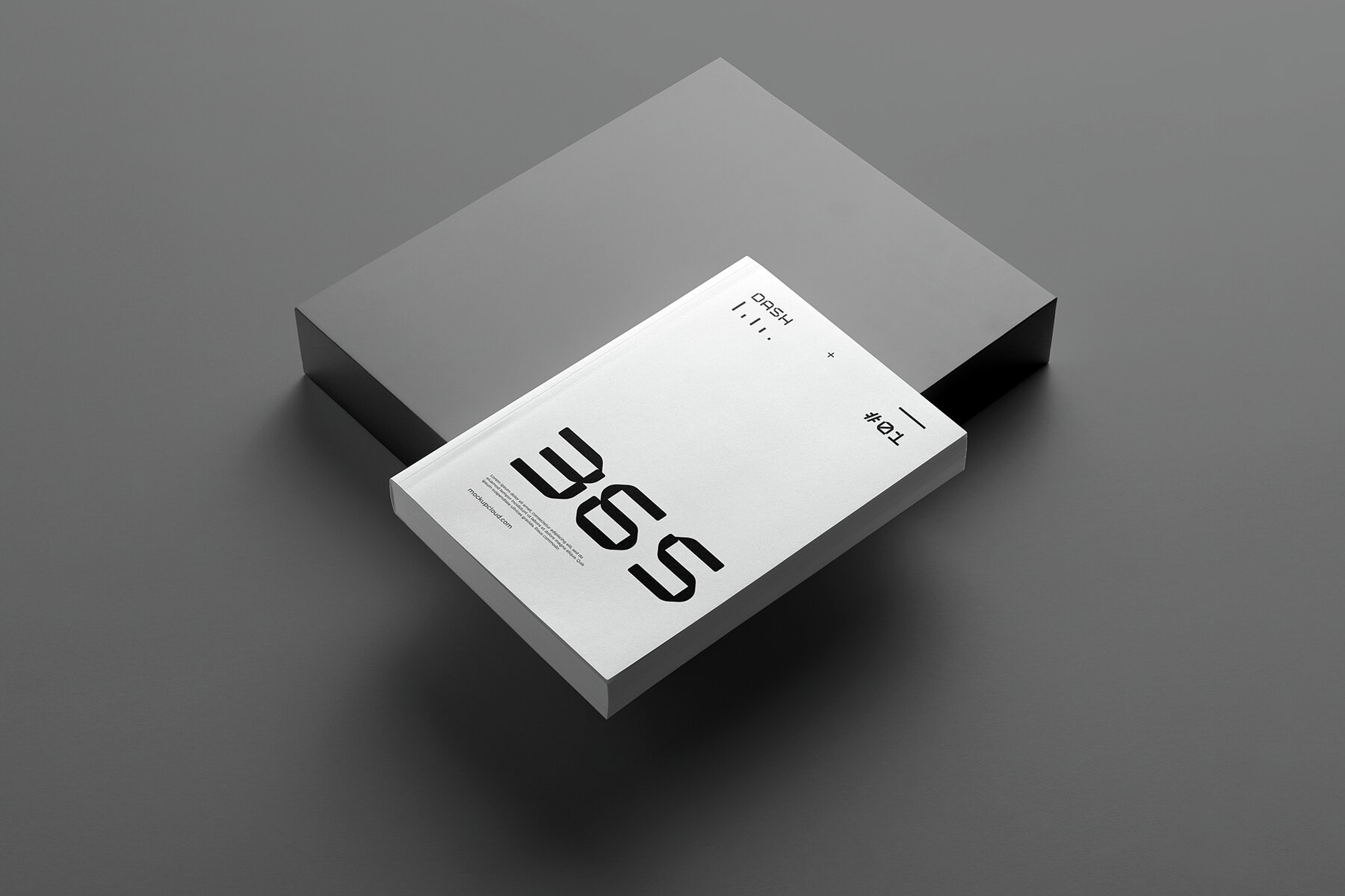 Dash Branding Mockups Vol  2 9