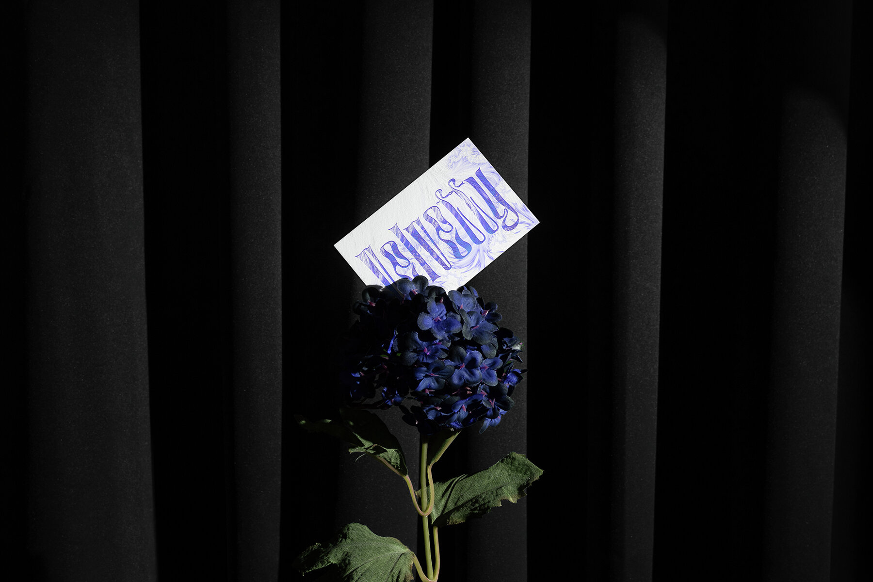 Velvetty Branding Mockups Bundle 22