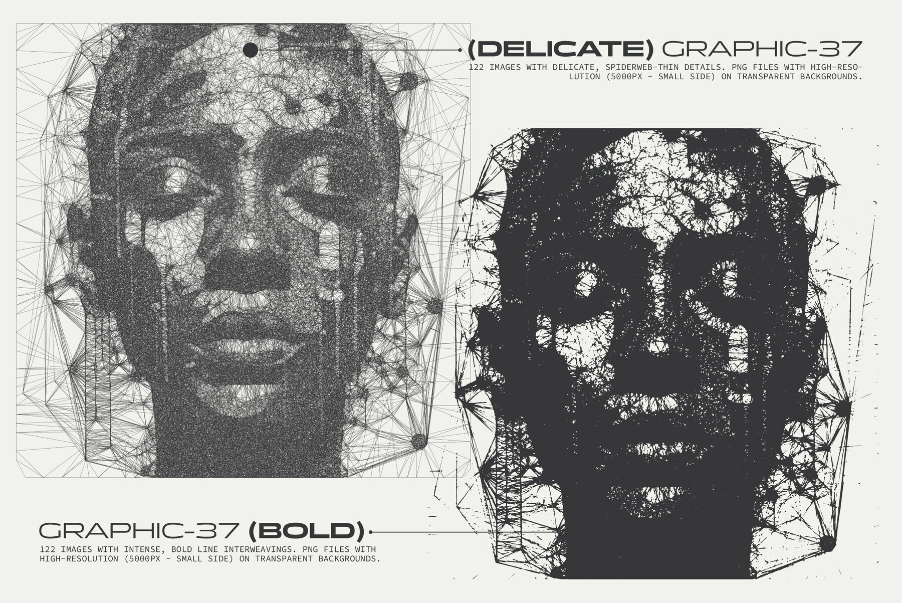 Interlace 244 Spiderweb Graphics 2