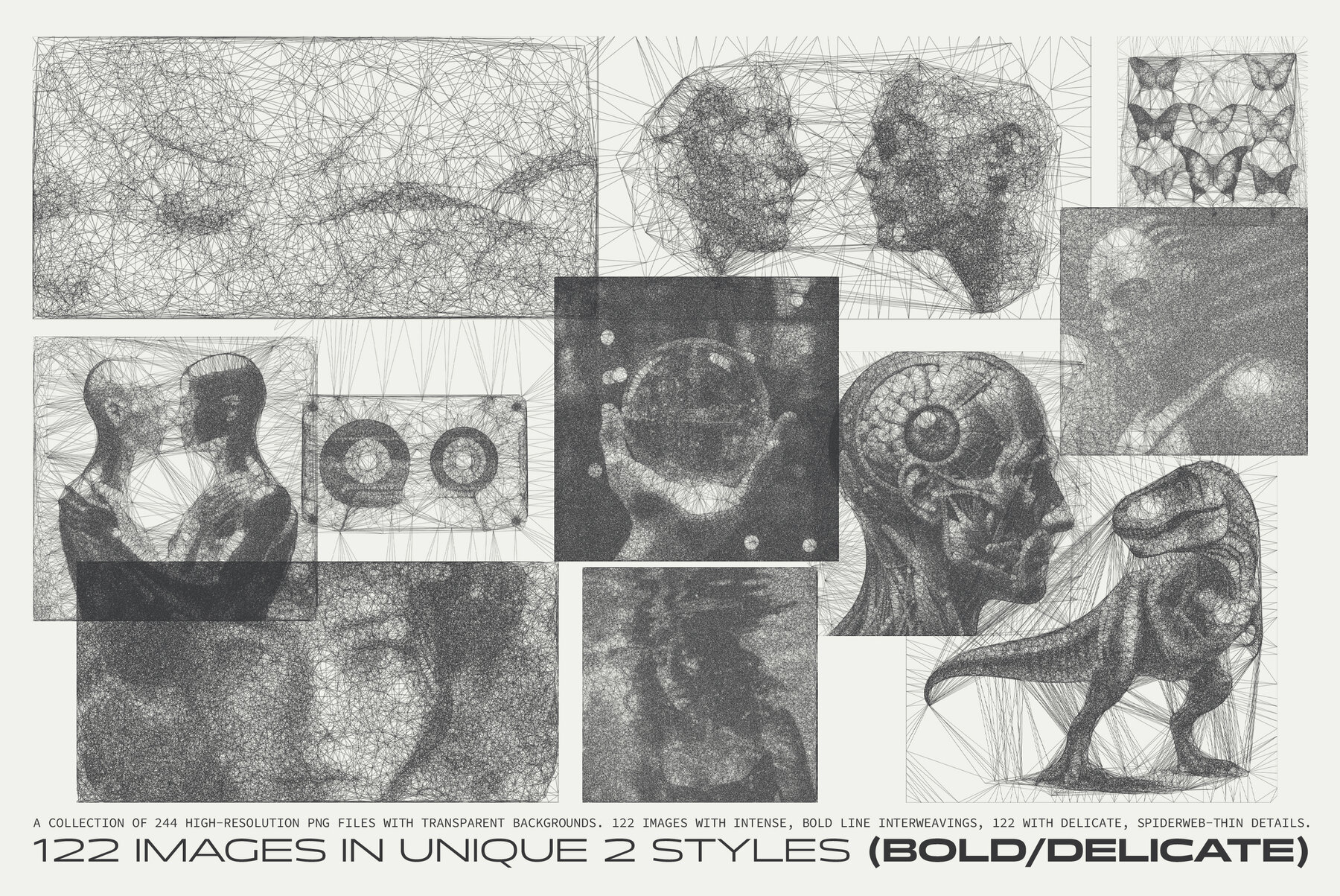 Interlace 244 Spiderweb Graphics 4