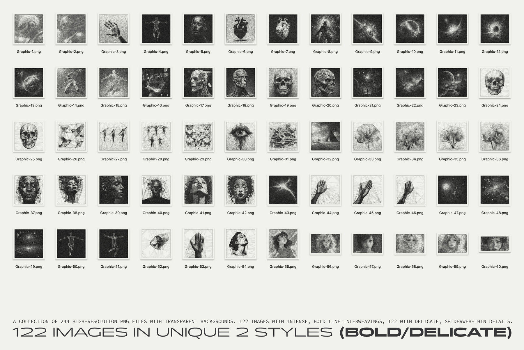 Interlace 244 Spiderweb Graphics 5