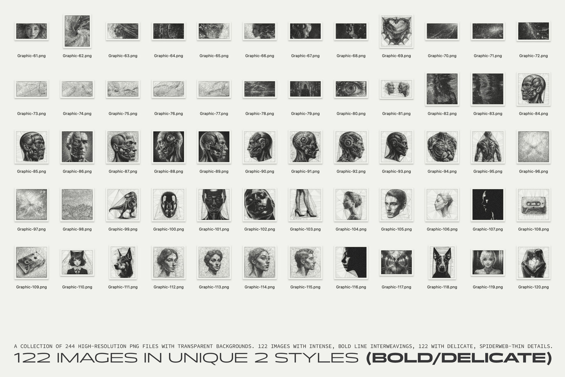 Interlace 244 Spiderweb Graphics 6